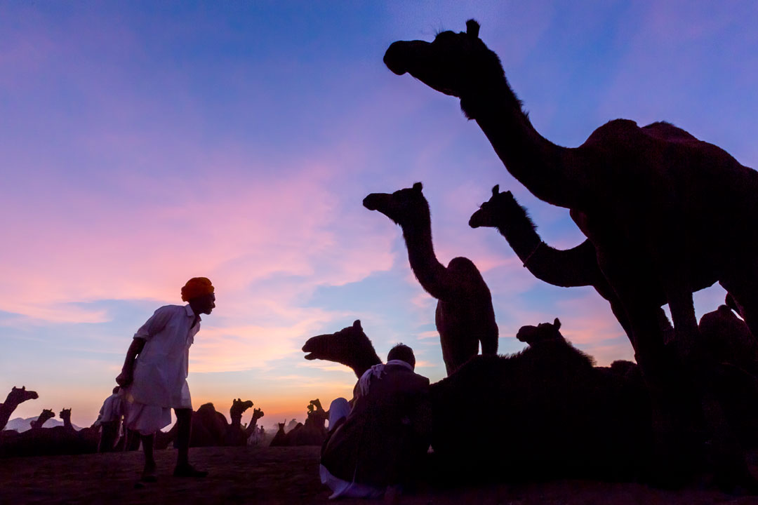 india, Rajasthan, Incredible India, hindu, religion, fotótúra,