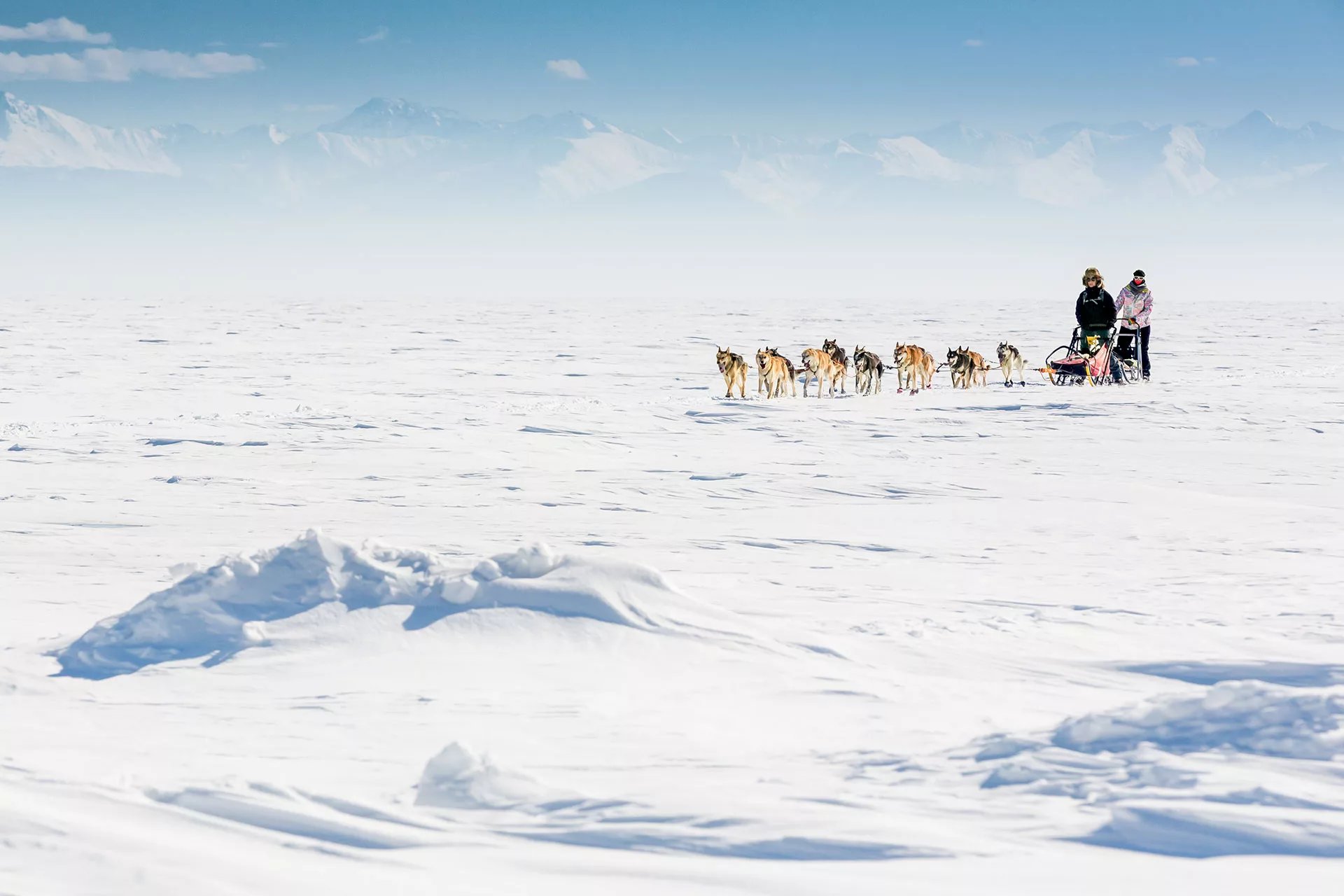 Husky kutyaszán fogat a Bajkál-tó jegén Szibériában Oroszo