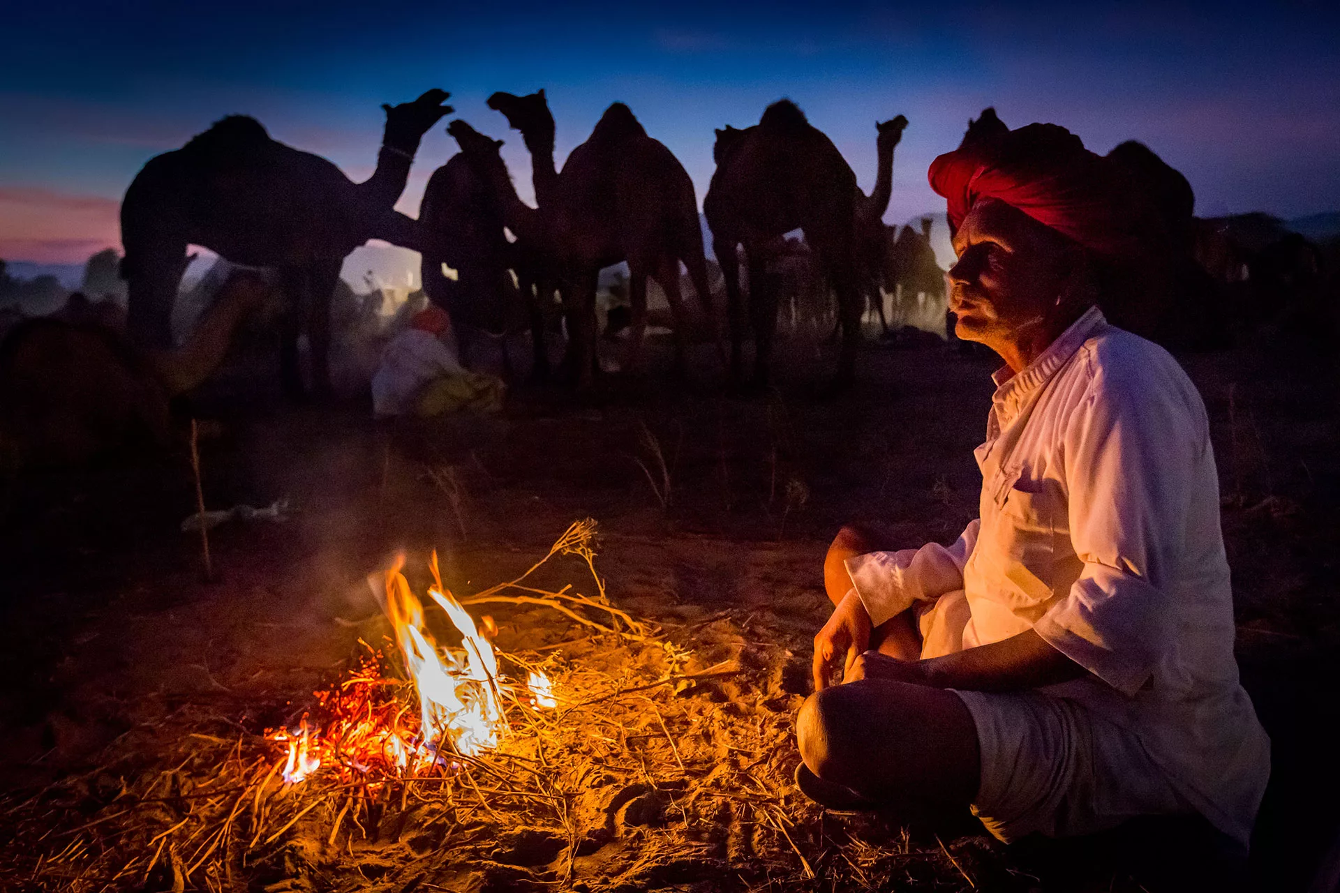 Tevepásztor és tevéi a Pushkar tevevásárban Rajasthanban In