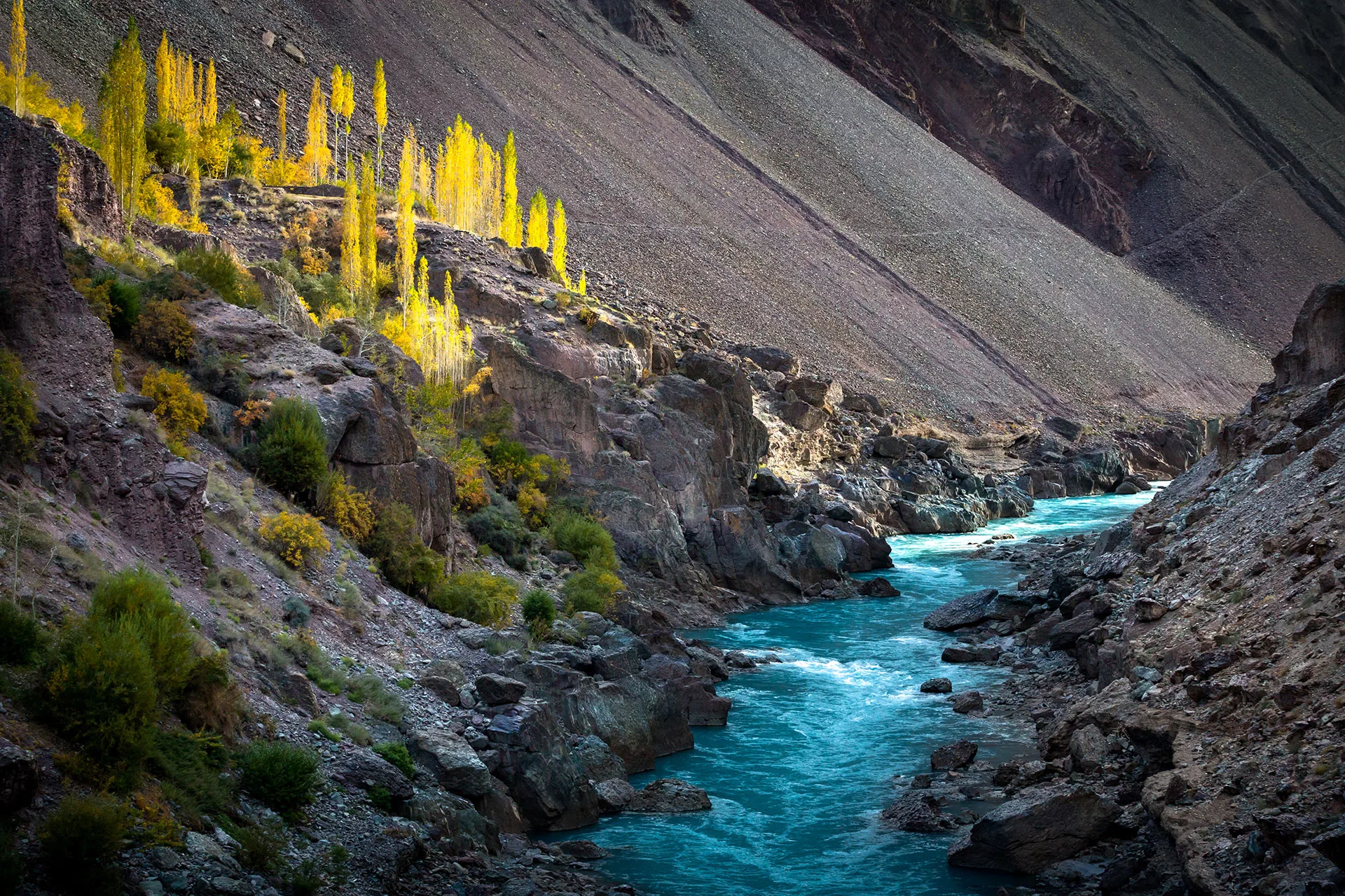 Tibet, Nyárfák és a Zanskar folyó az indiai Himalájában, L