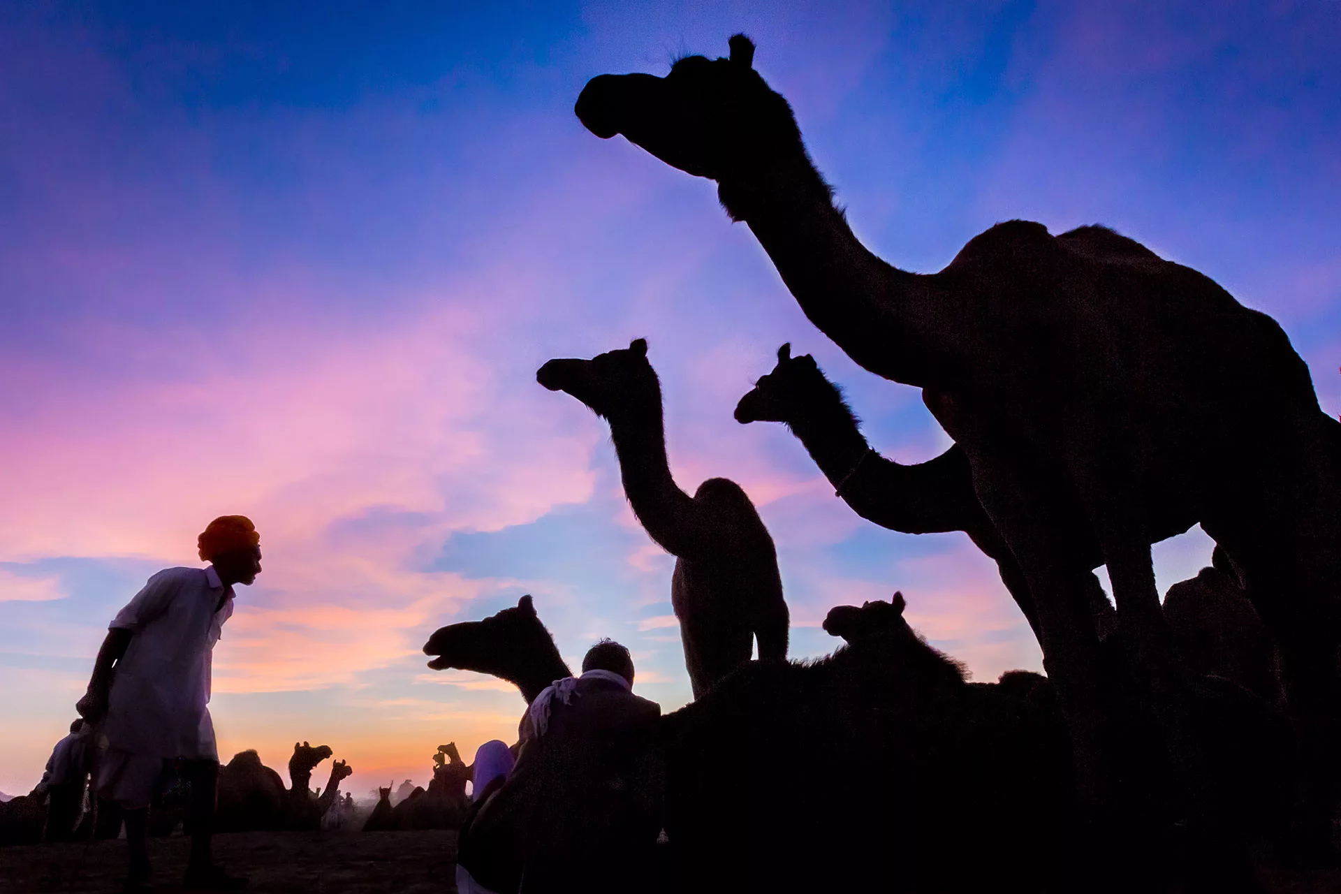 Pushkar