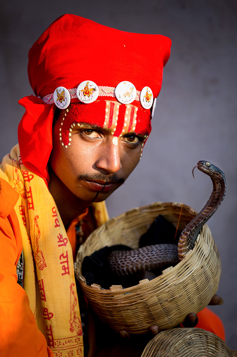 Hindu jógi kobra kígyóval Pushkarban Rajasthanban Indiában