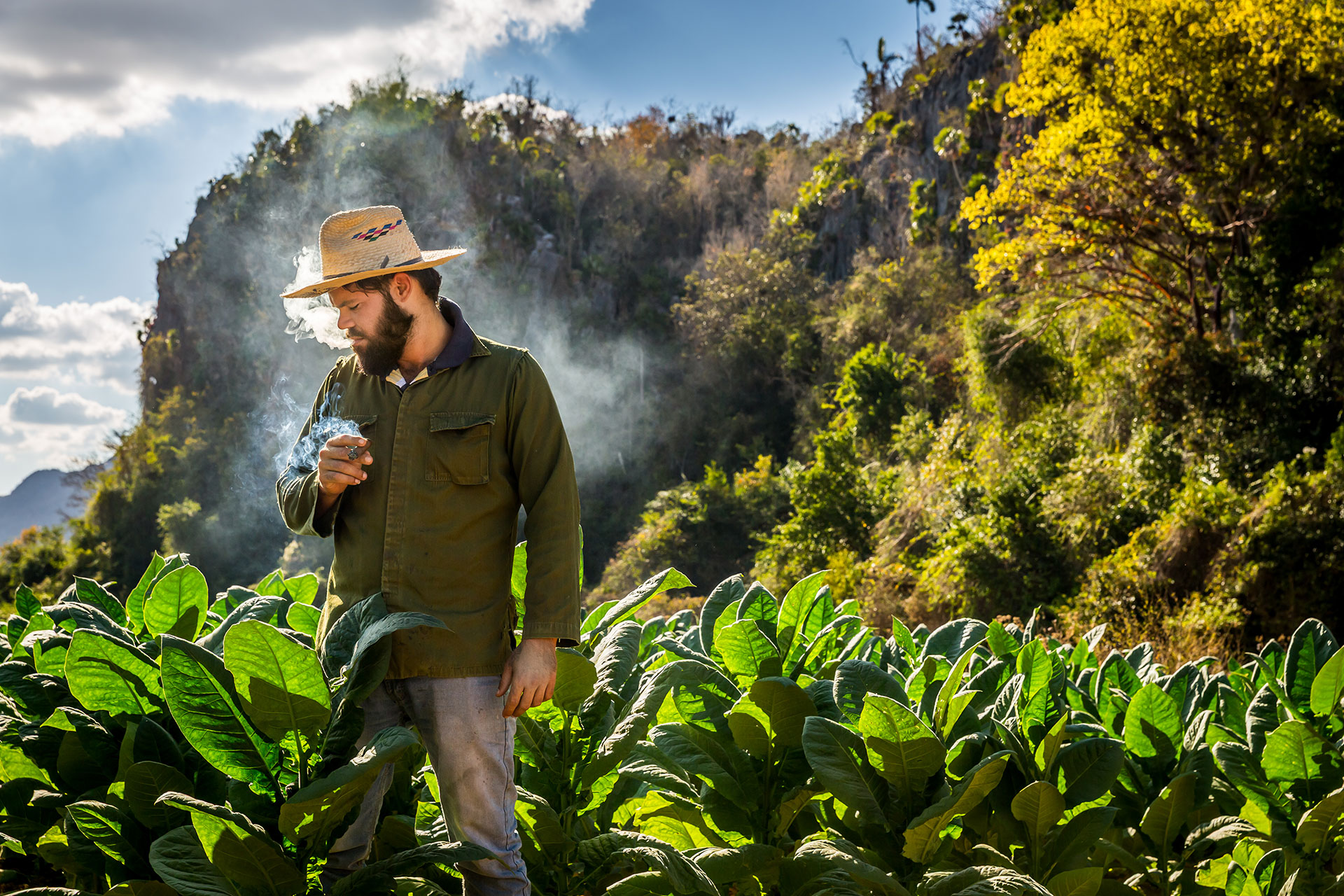 fotó: KINCSESKAMERA – Szabó Zoltán