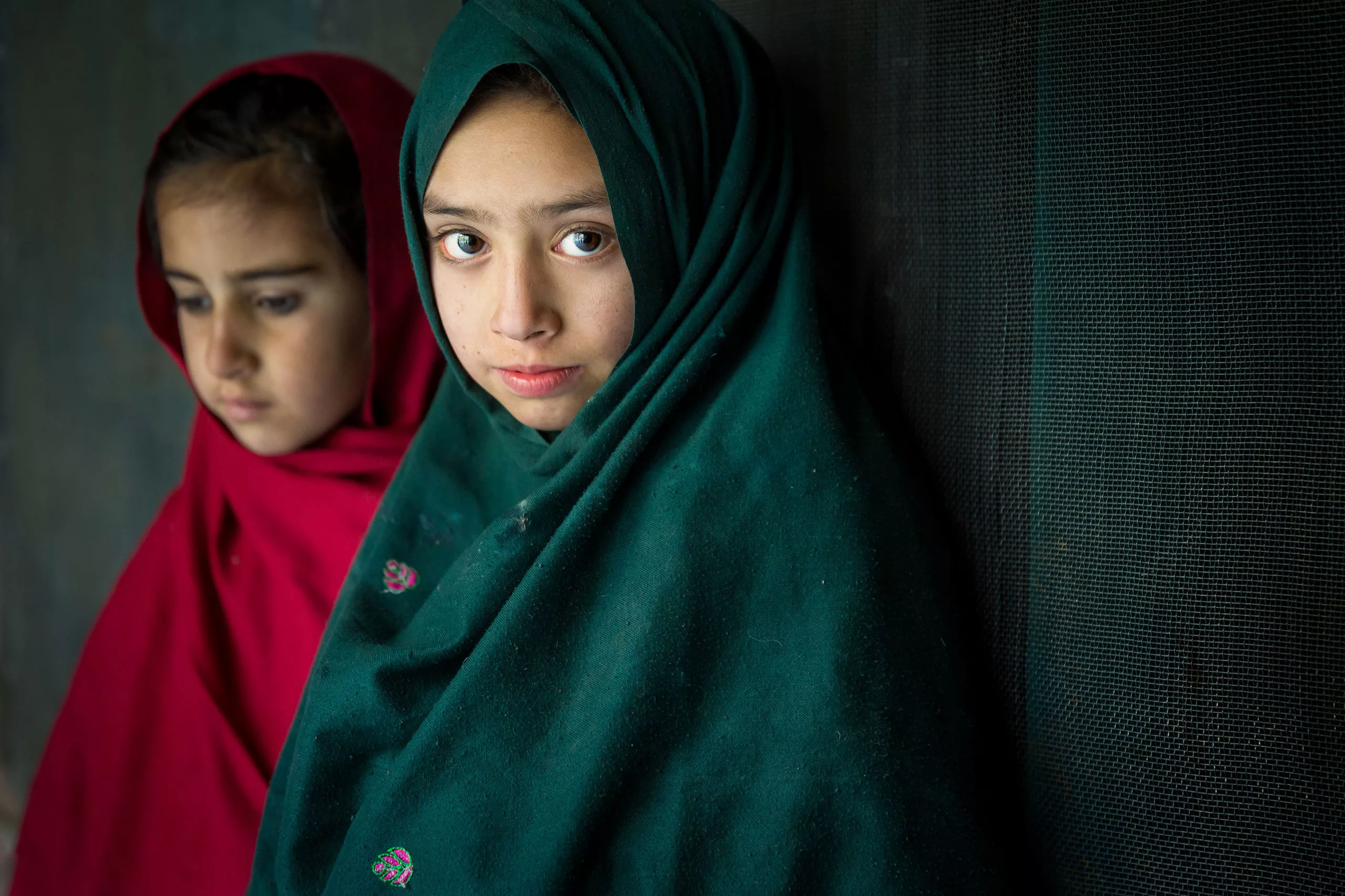 fotó: KINCSESKAMERA – Szabó Zoltán