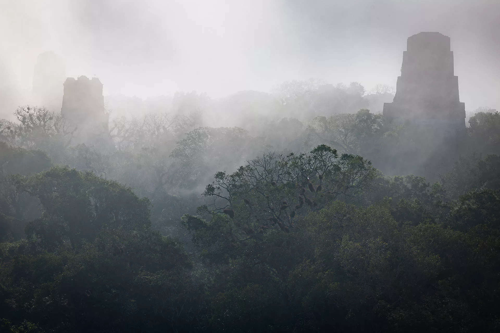 Tikal