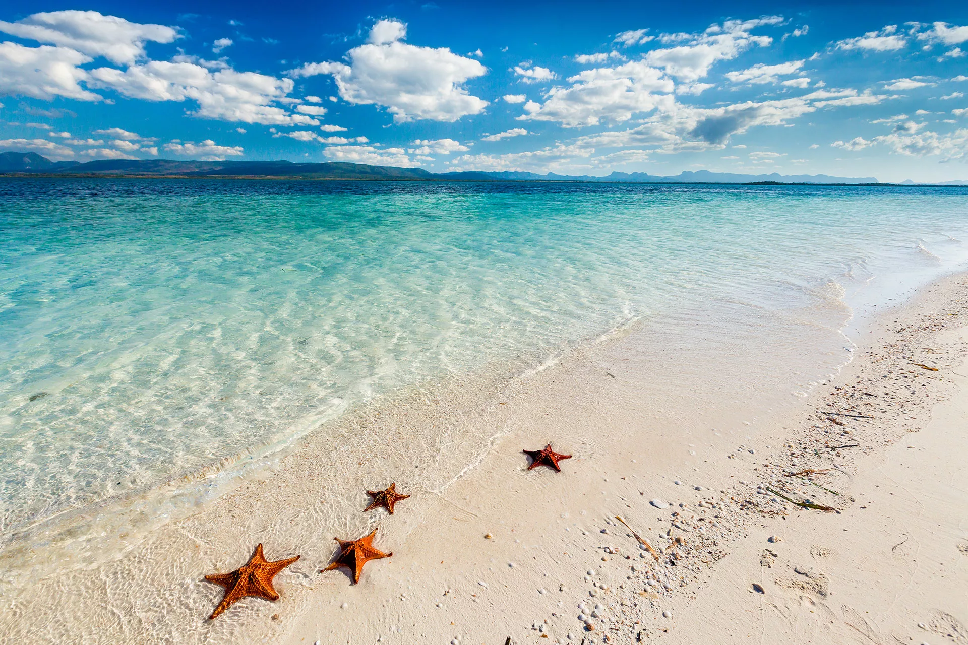 Tengericsillagok a Karib-tengerben Cayo Levisa szigetén a playa