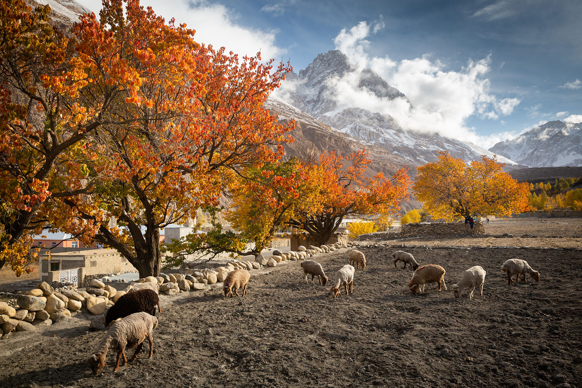 fotó: KINCSESKAMERA – Szabó Zoltán