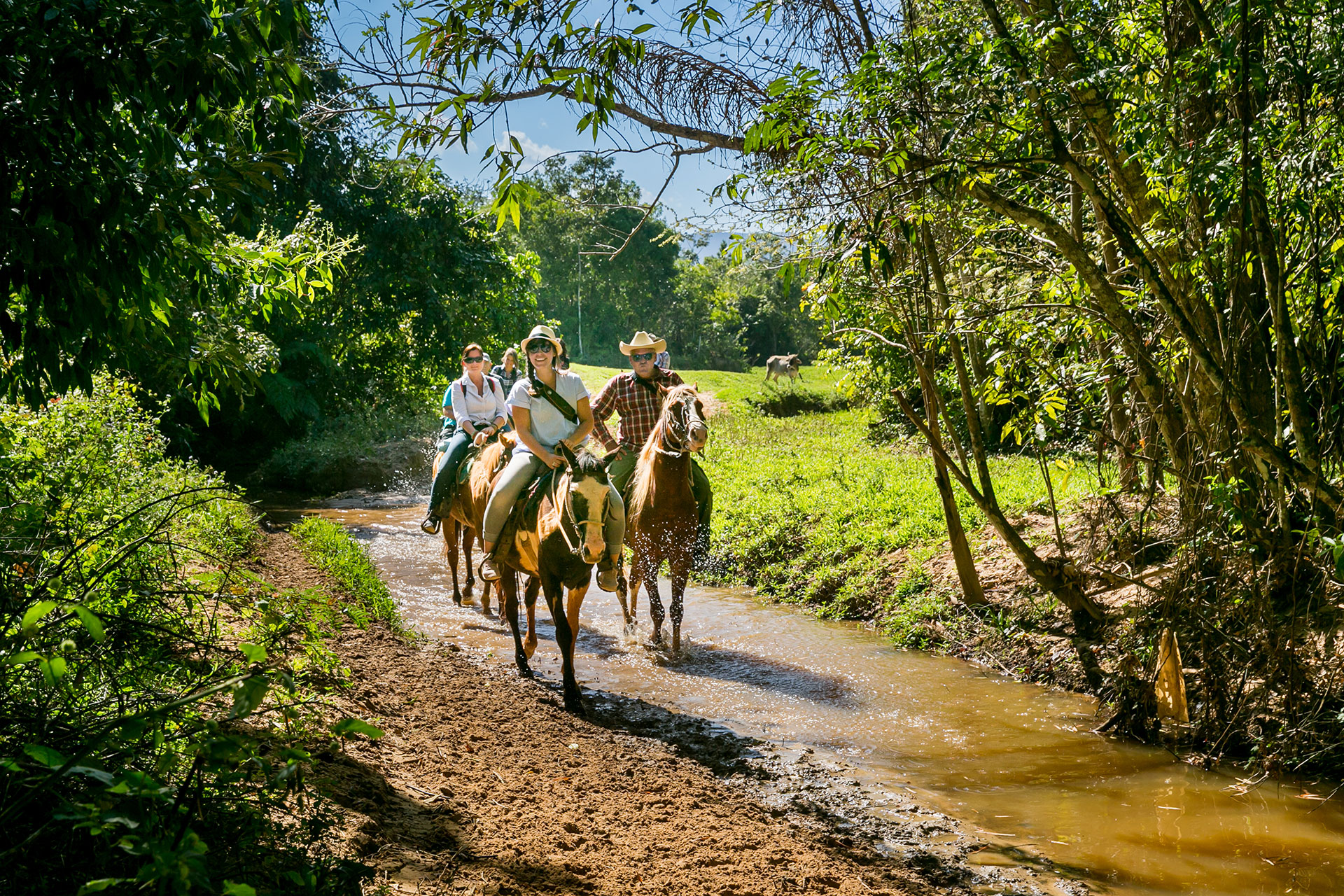 fotó: KINCSESKAMERA – Szabó Zoltán