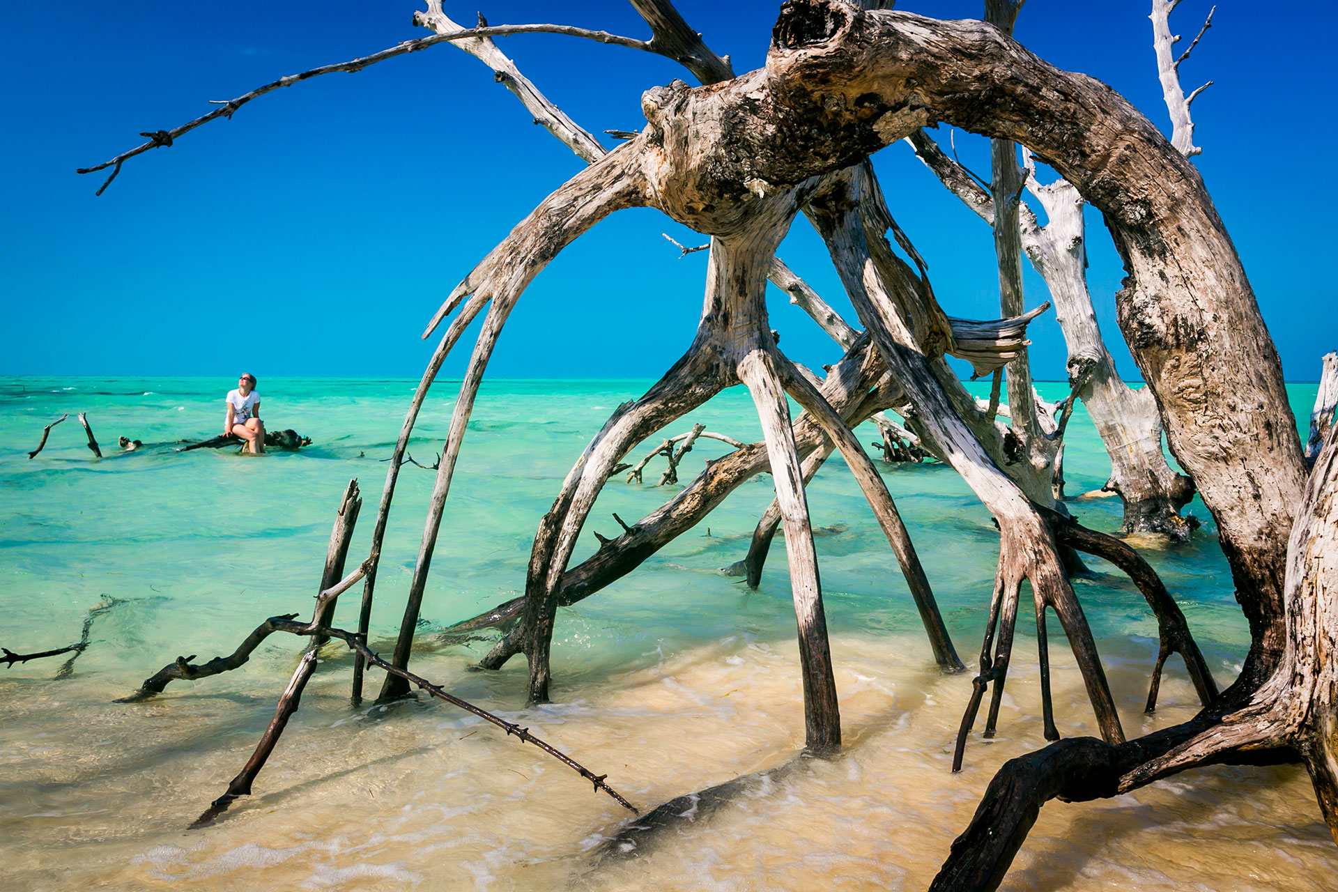 fotó: KINCSESKAMERA – Szabó Zoltán