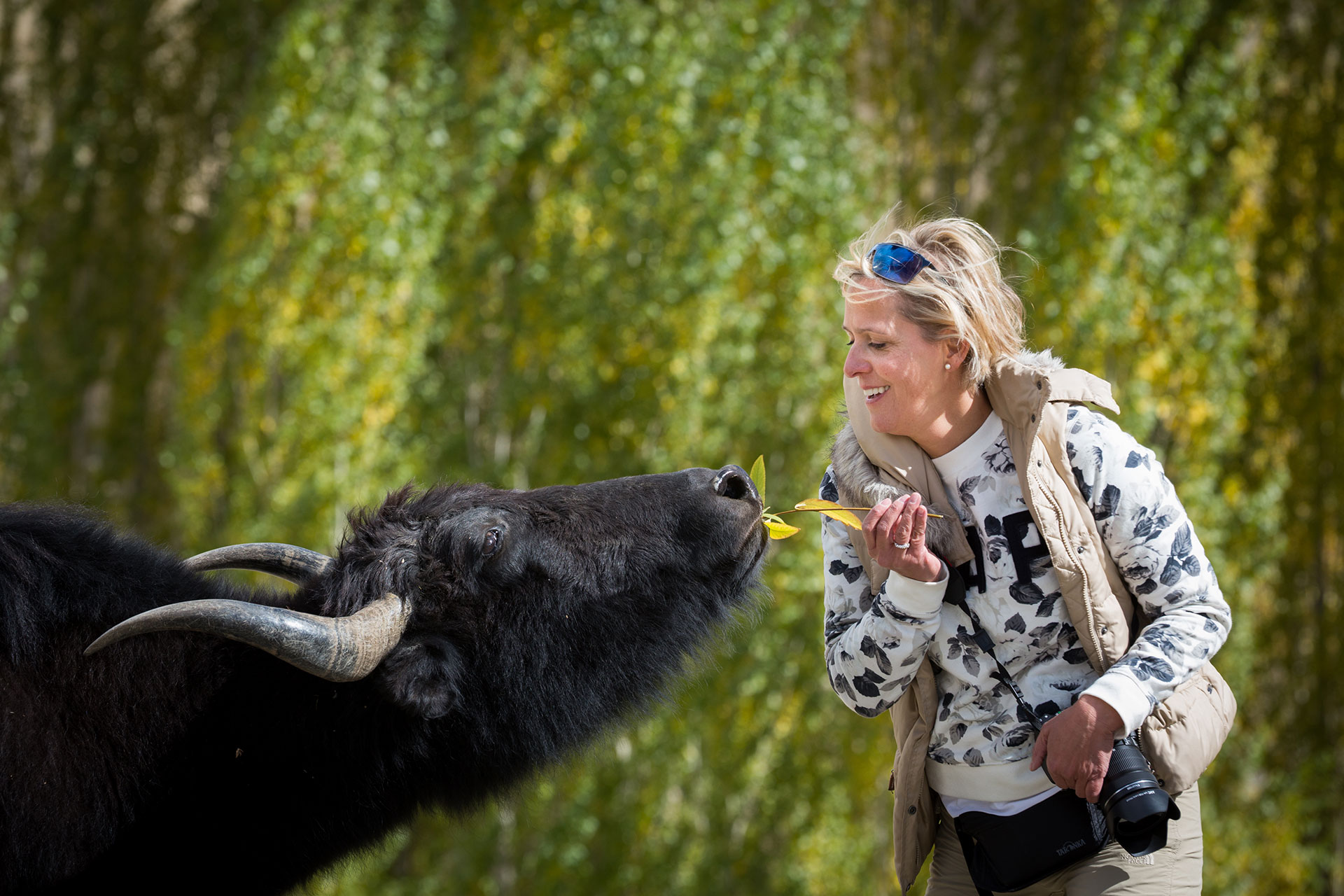 Tibet, Ladakh, India, fotótúra, fotós túra
