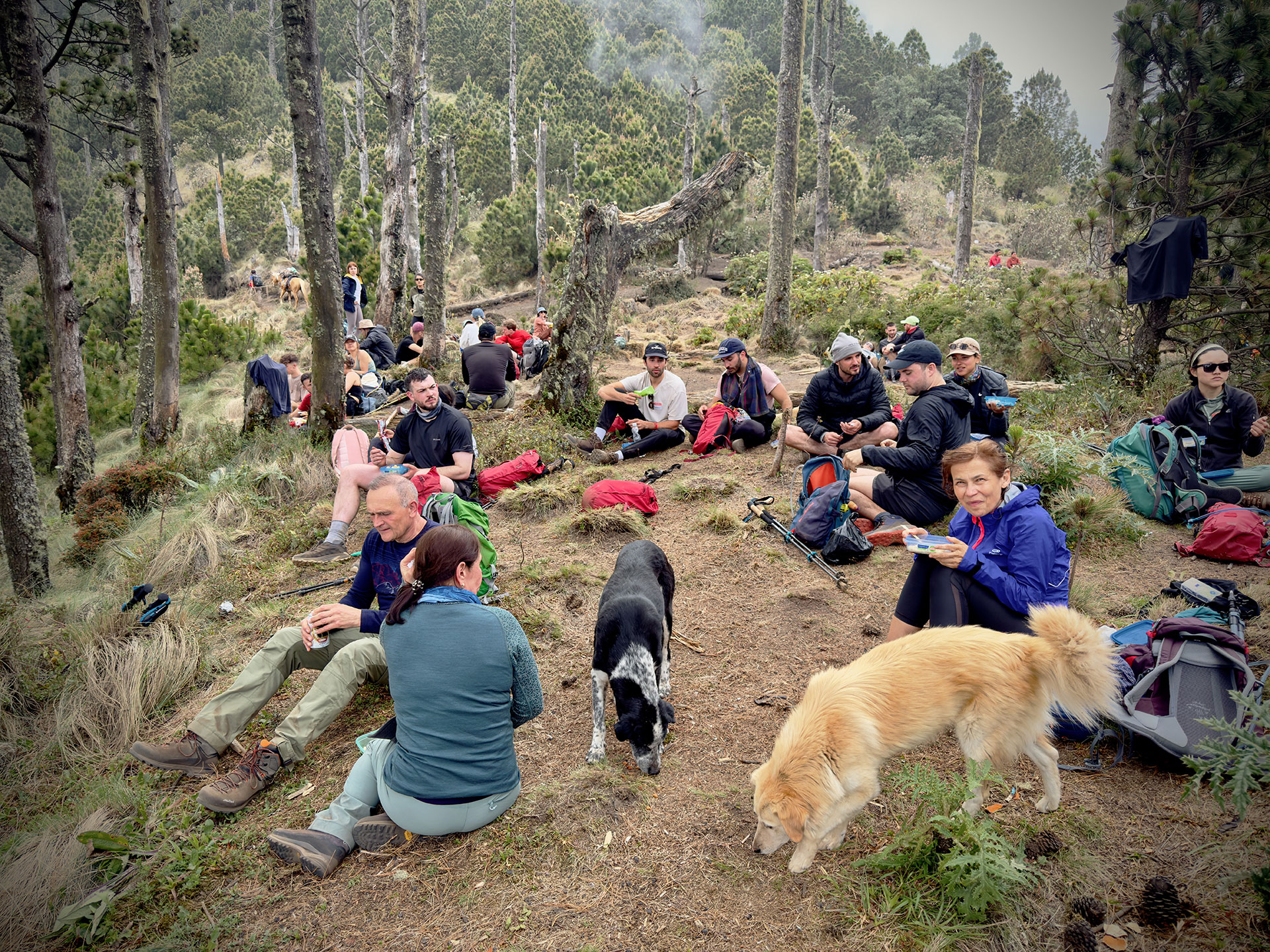 fotó: KINCSESKAMERA – Szabó Zoltán
