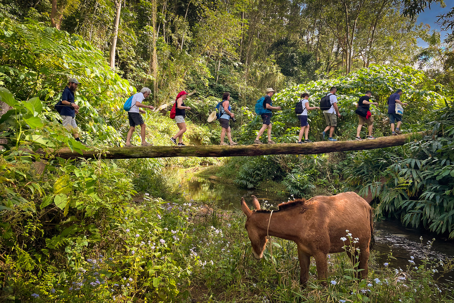 fotó: KINCSESKAMERA – Szabó Zoltán