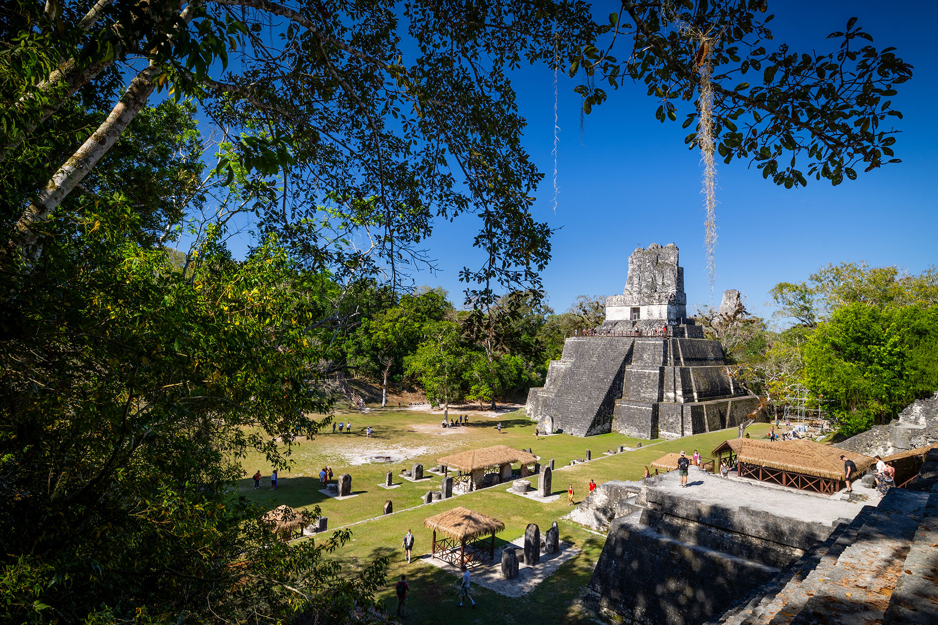 Tikal