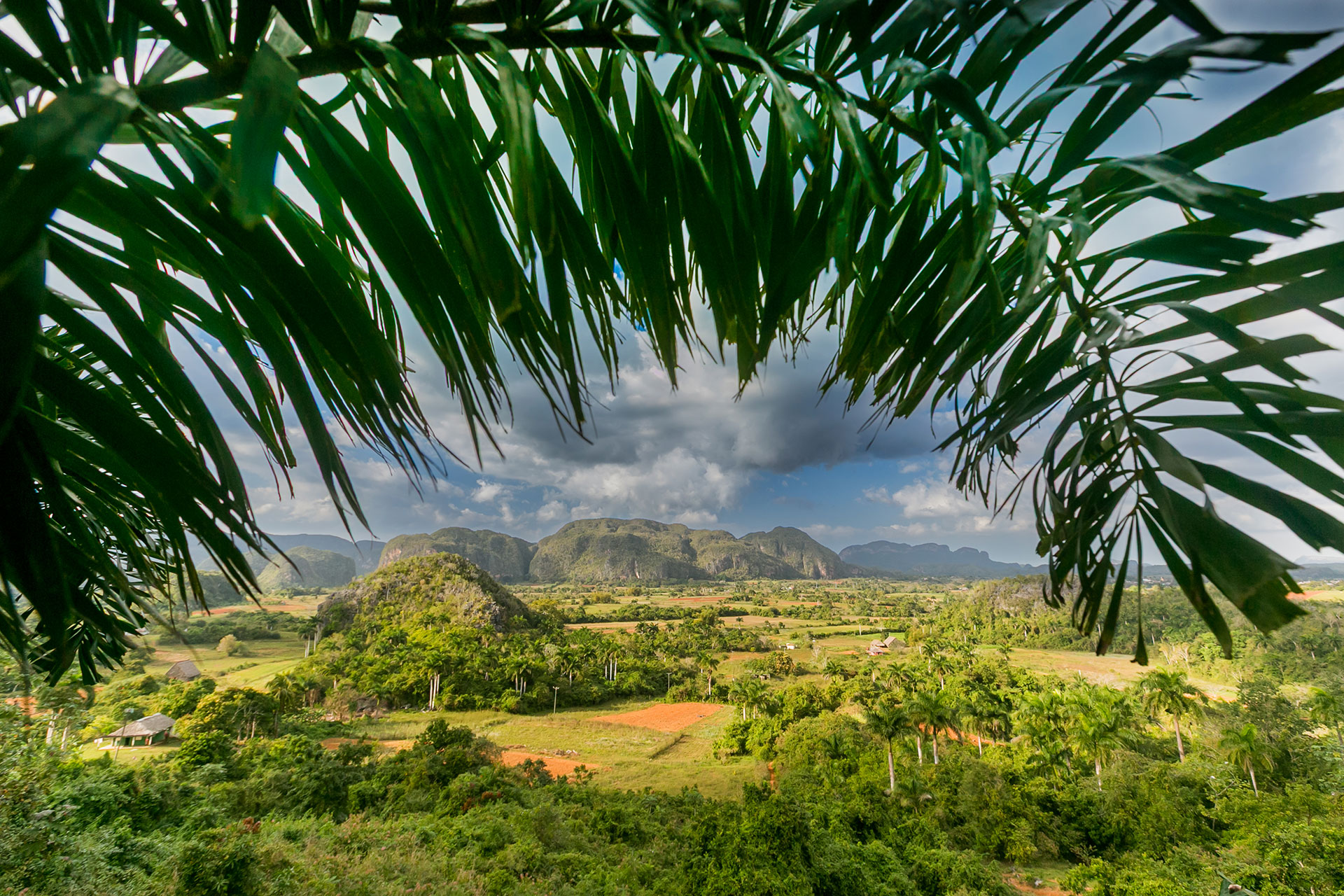 fotó: KINCSESKAMERA – Szabó Zoltán