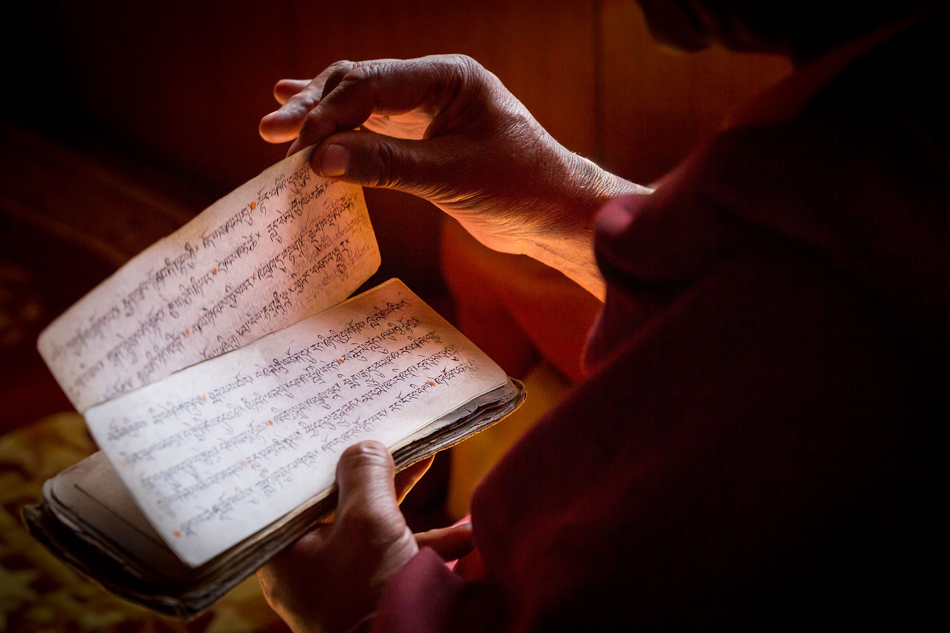 fotó: KINCSESKAMERA – Szabó Zoltán