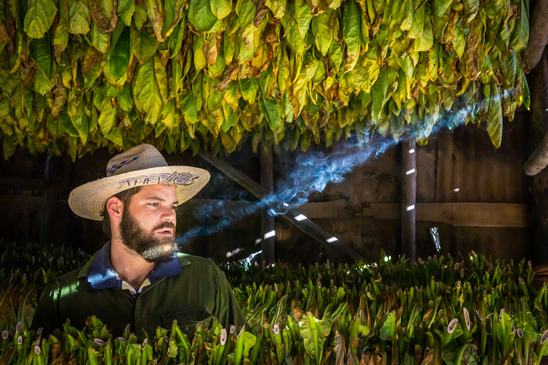 fotó: KINCSESKAMERA – Szabó Zoltán