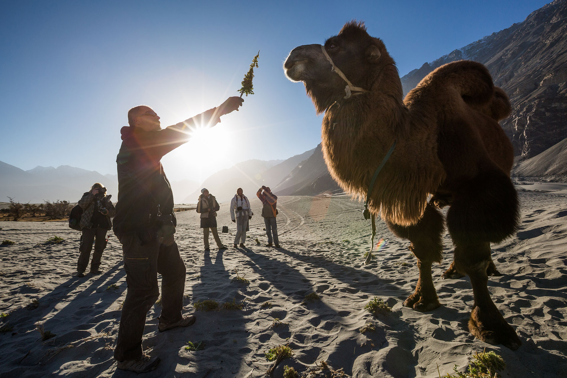 Tibet, Ladakh, India, fotótúra, fotós túra