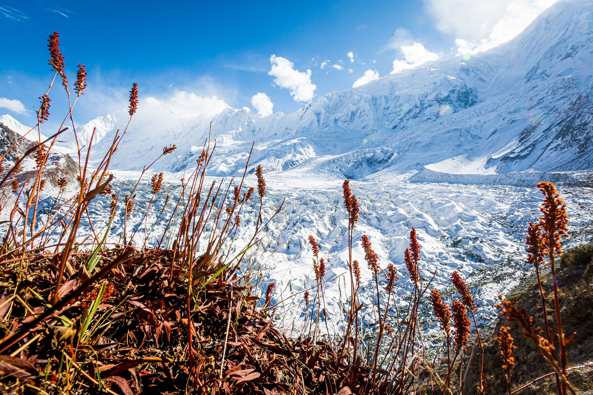 Rakaposhi base camp