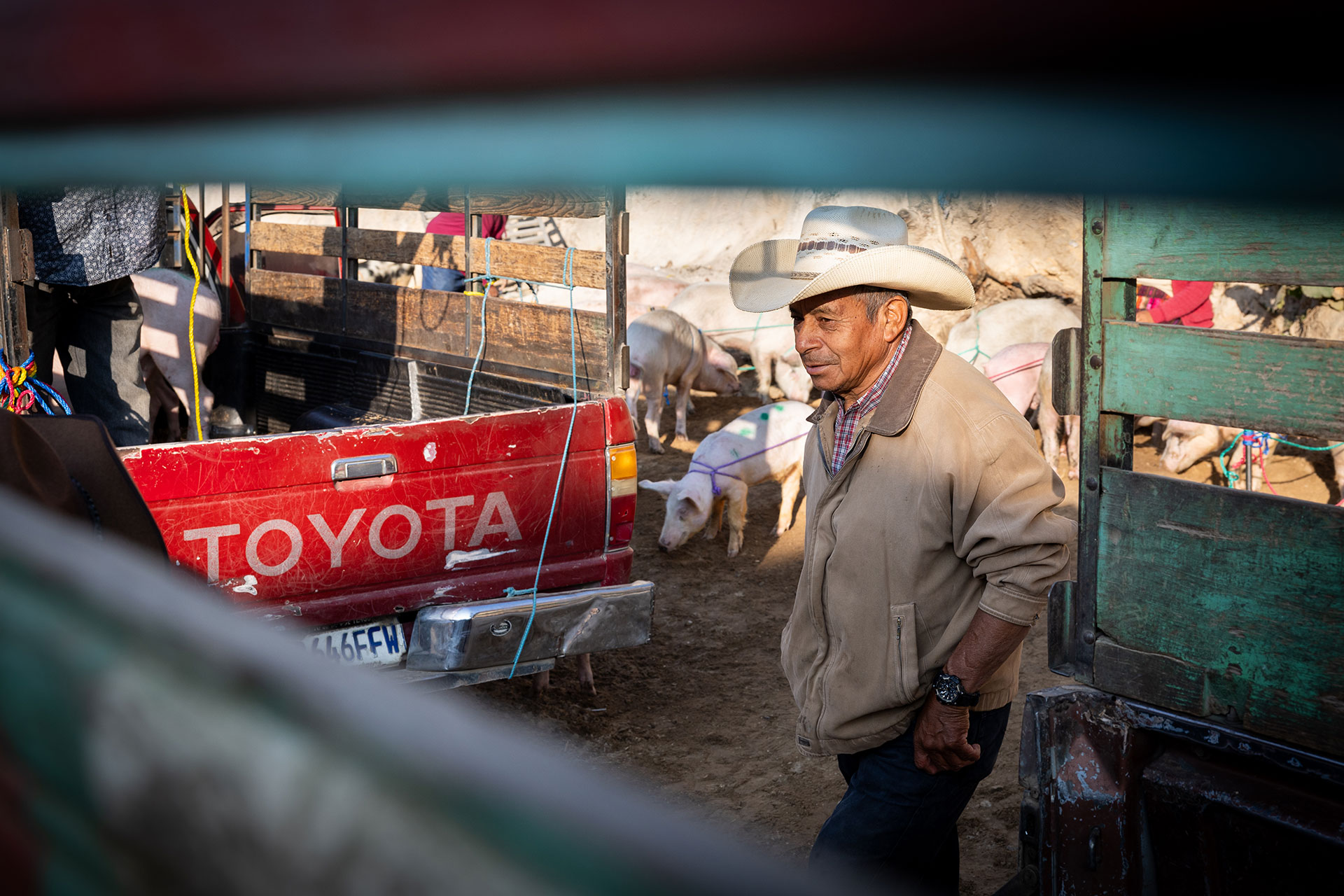 fotó: KINCSESKAMERA – Szabó Zoltán