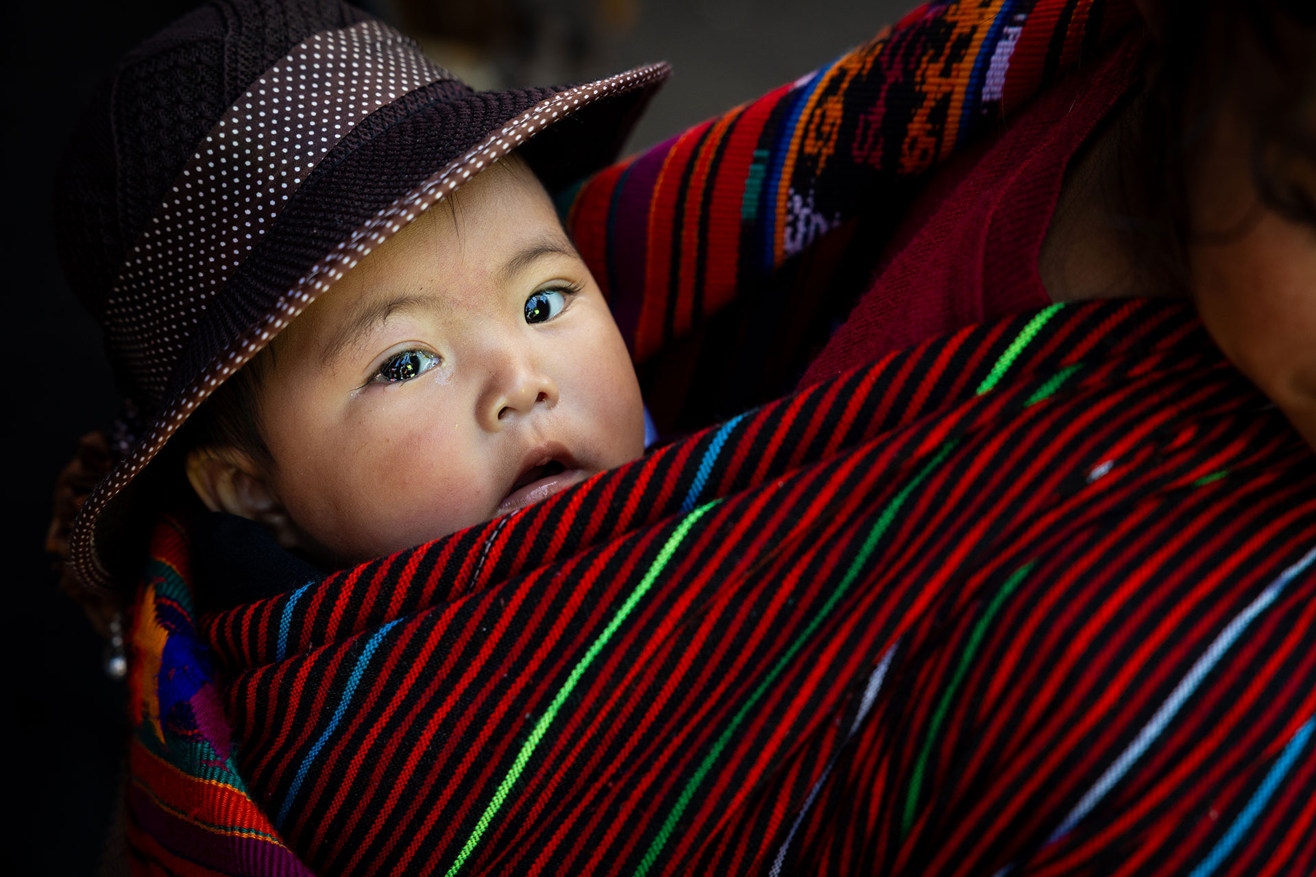 fotó: KINCSESKAMERA – Szabó Zoltán