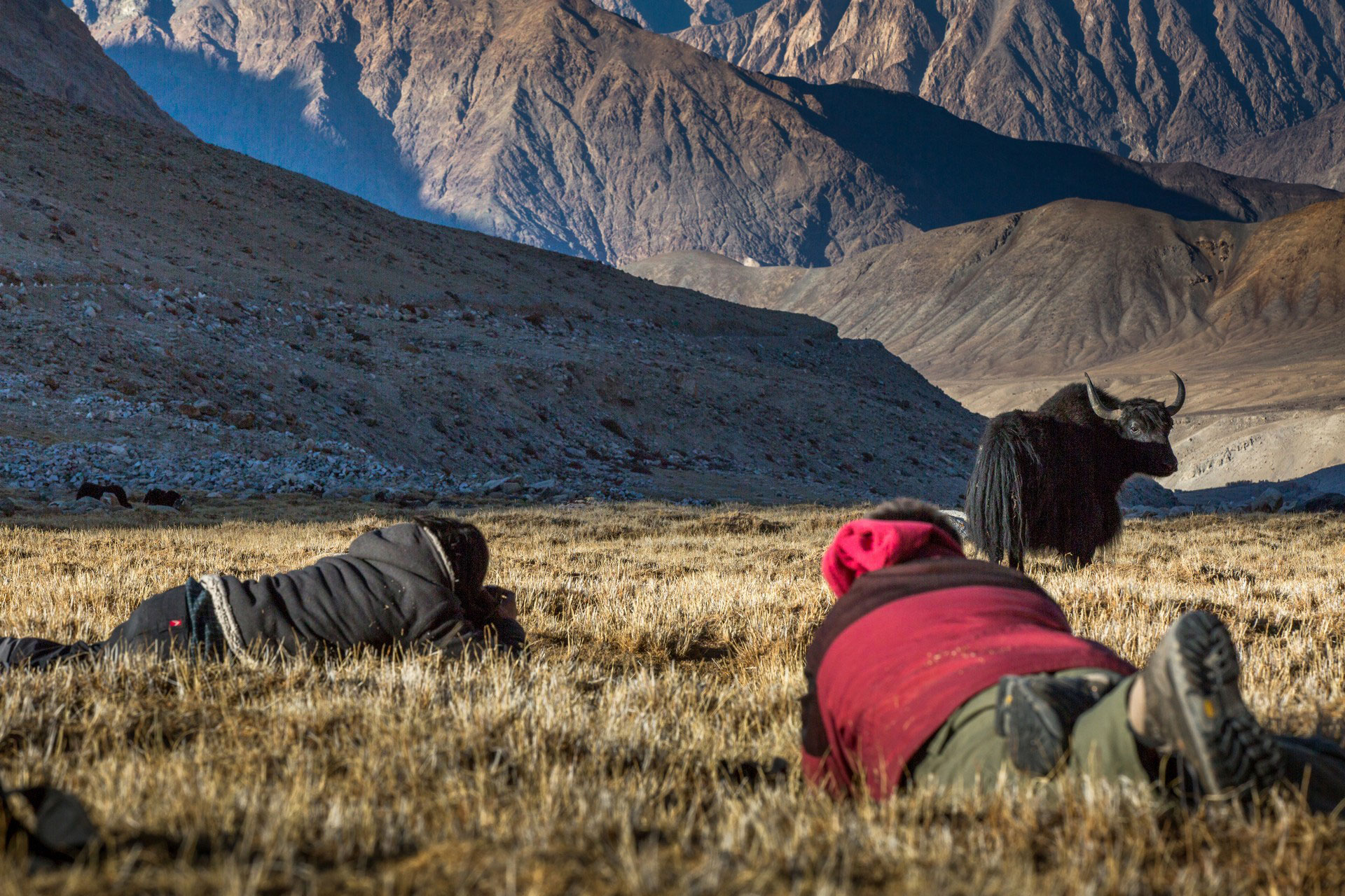 Tibet, Ladakh, India, fotótúra, fotós túra