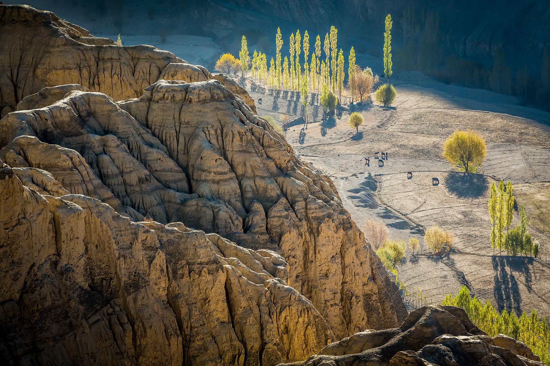 fotó: KINCSESKAMERA – Szabó Zoltán