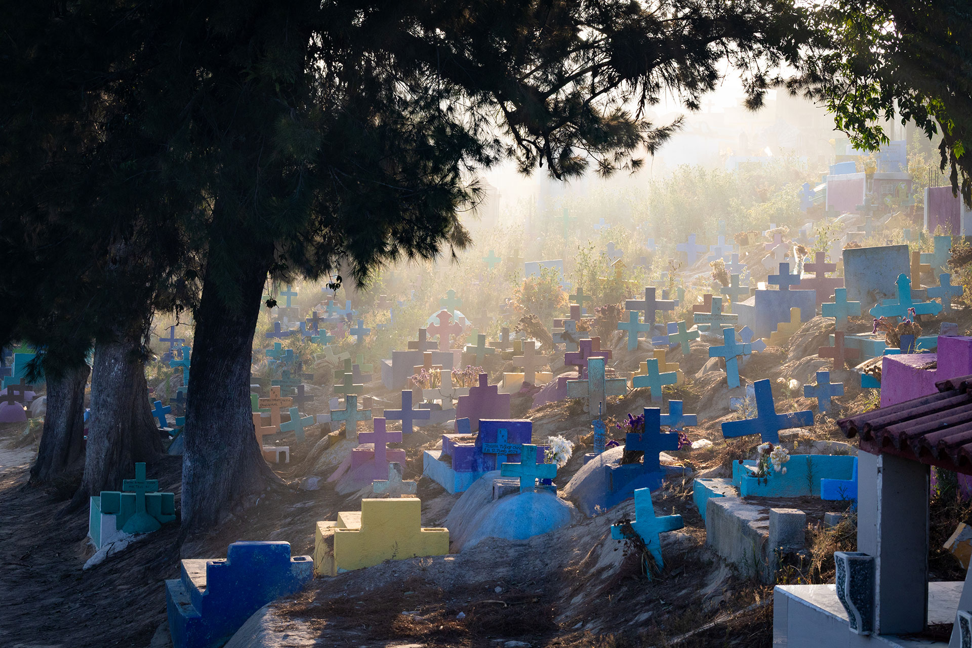 fotó: KINCSESKAMERA – Szabó Zoltán