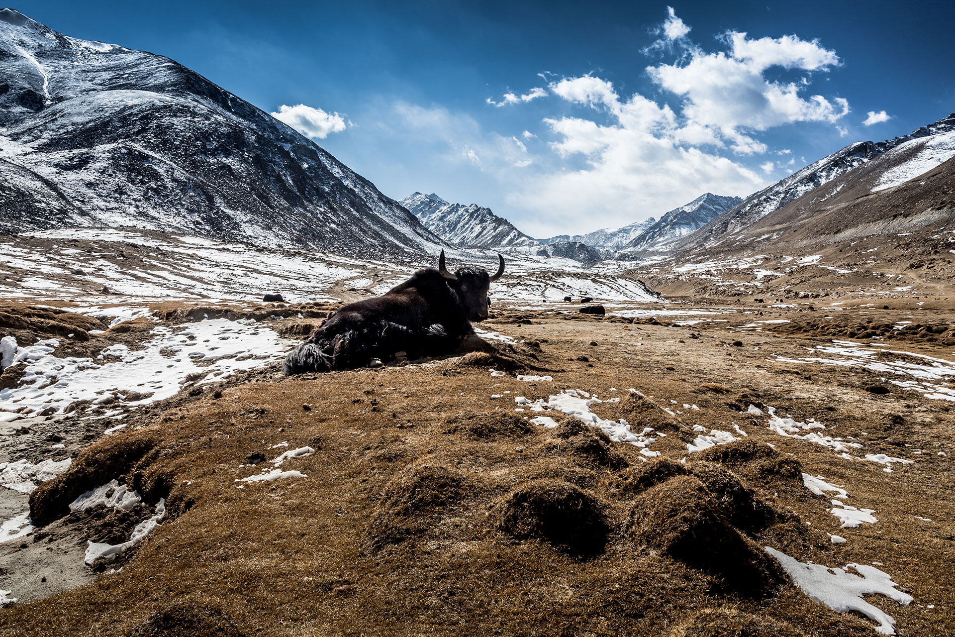 fotó: KINCSESKAMERA – Szabó Zoltán