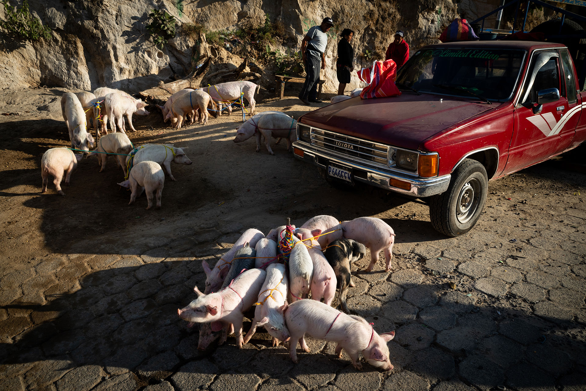 fotó: KINCSESKAMERA – Szabó Zoltán