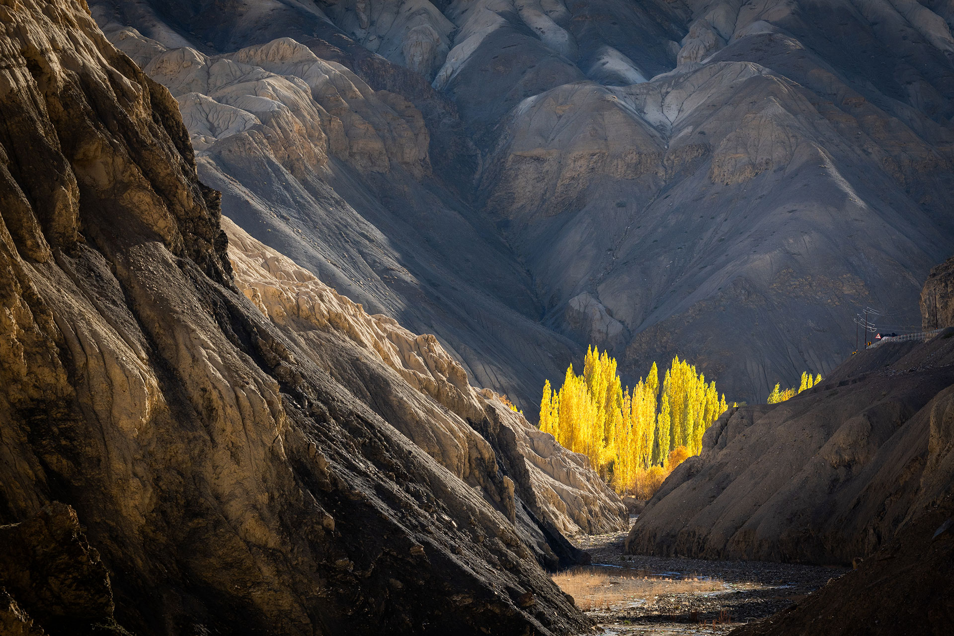 fotó: KINCSESKAMERA – Szabó Zoltán