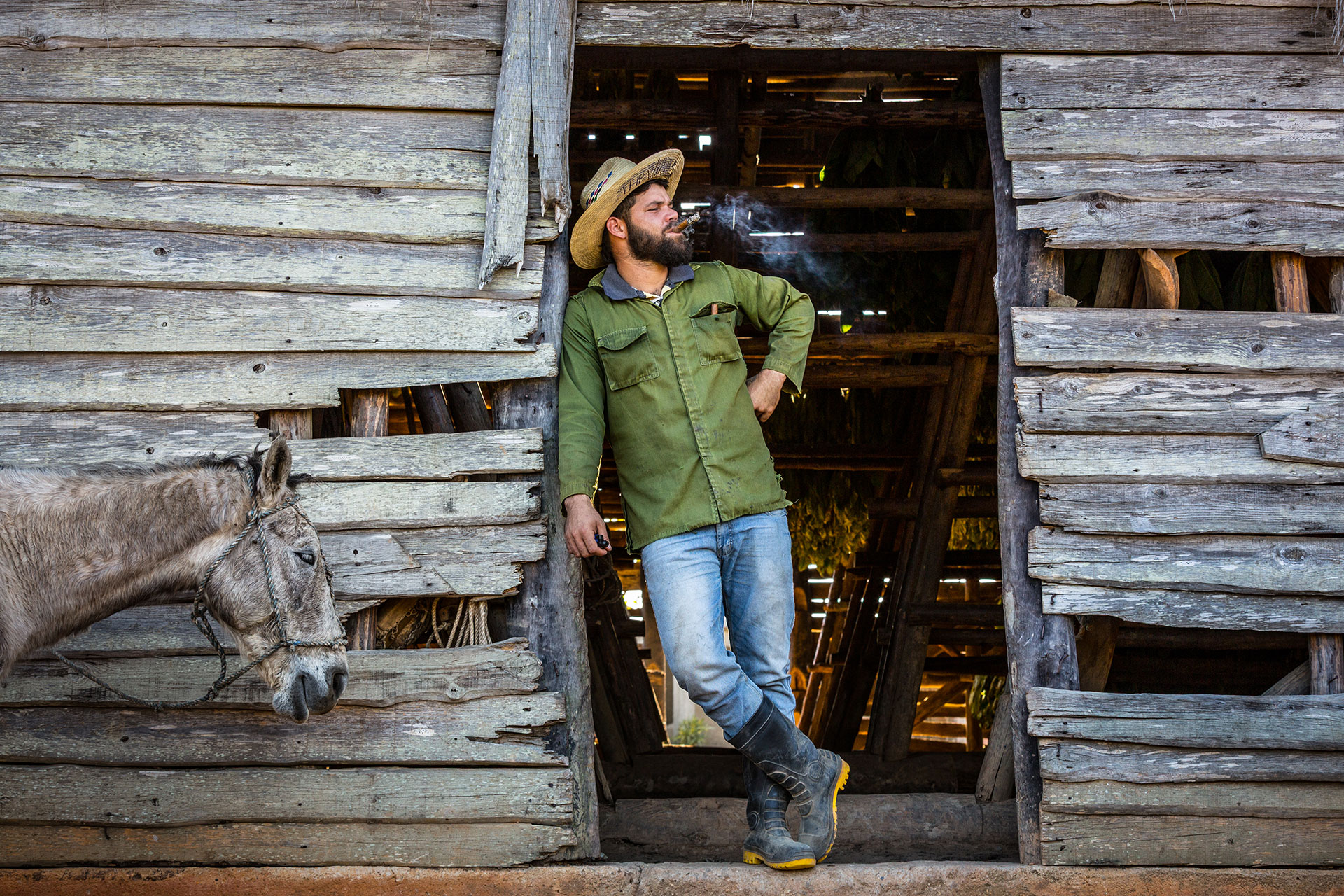 fotó: KINCSESKAMERA – Szabó Zoltán