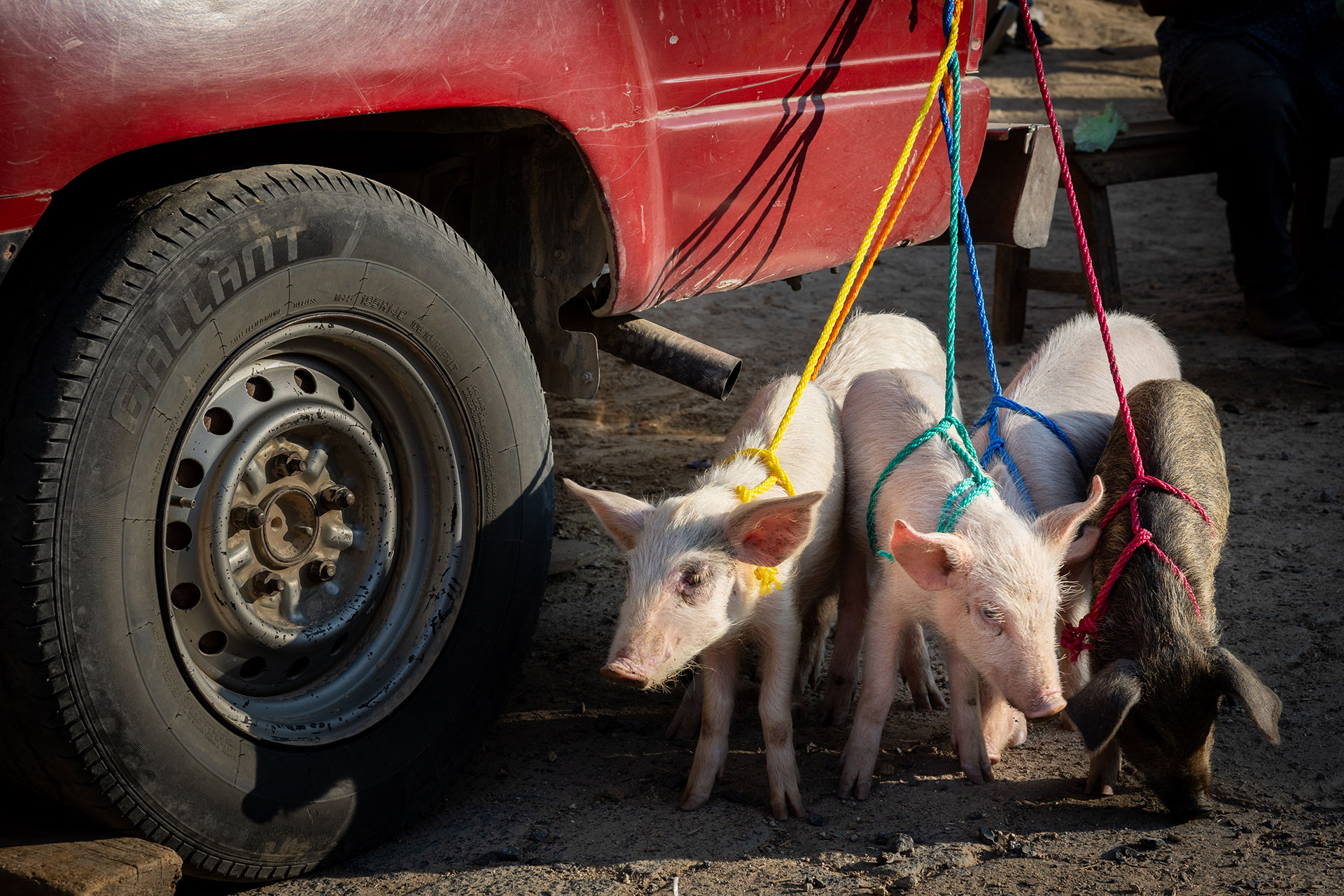 fotó: KINCSESKAMERA – Szabó Zoltán