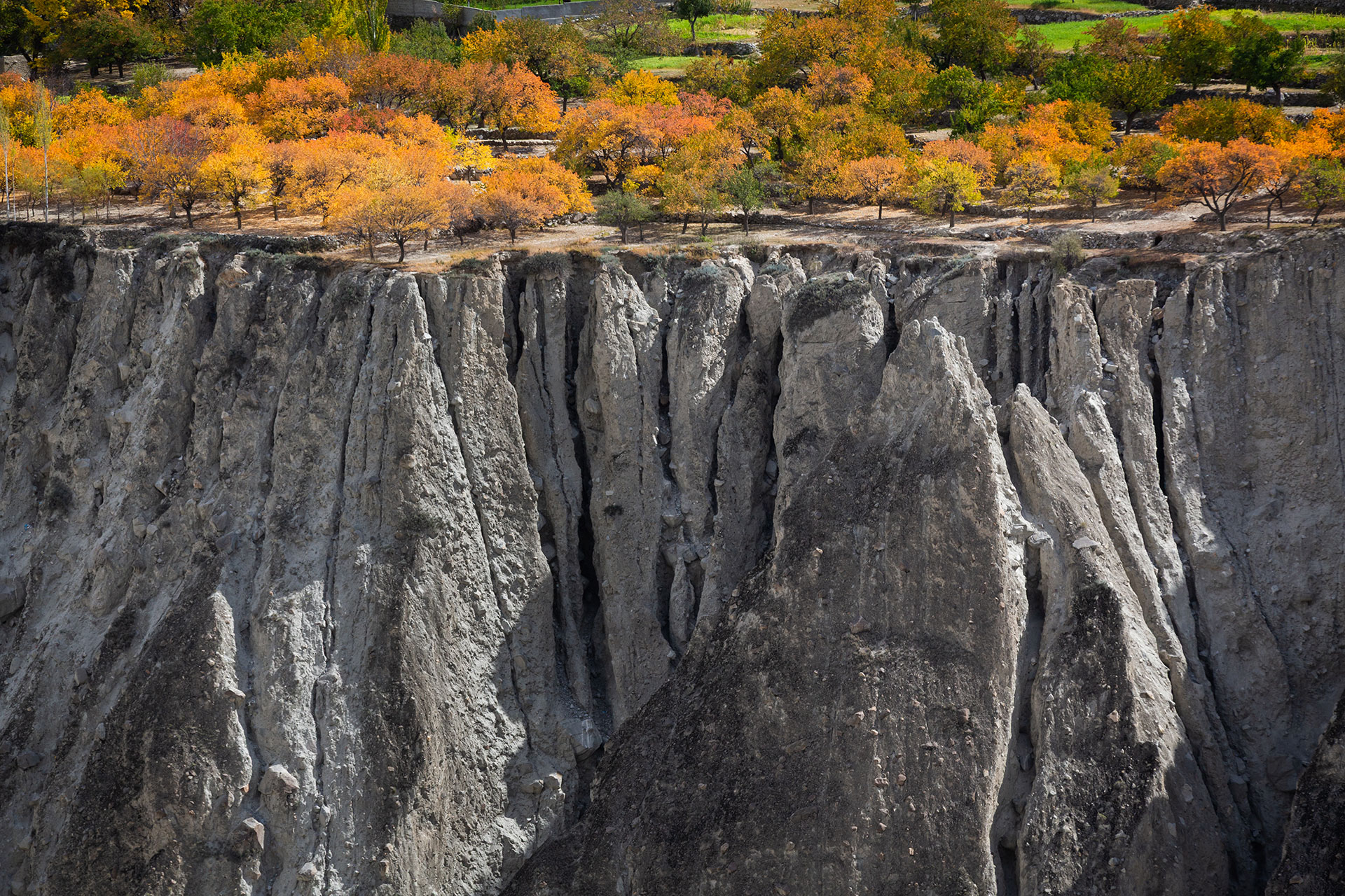 fotó: KINCSESKAMERA – Szabó Zoltán