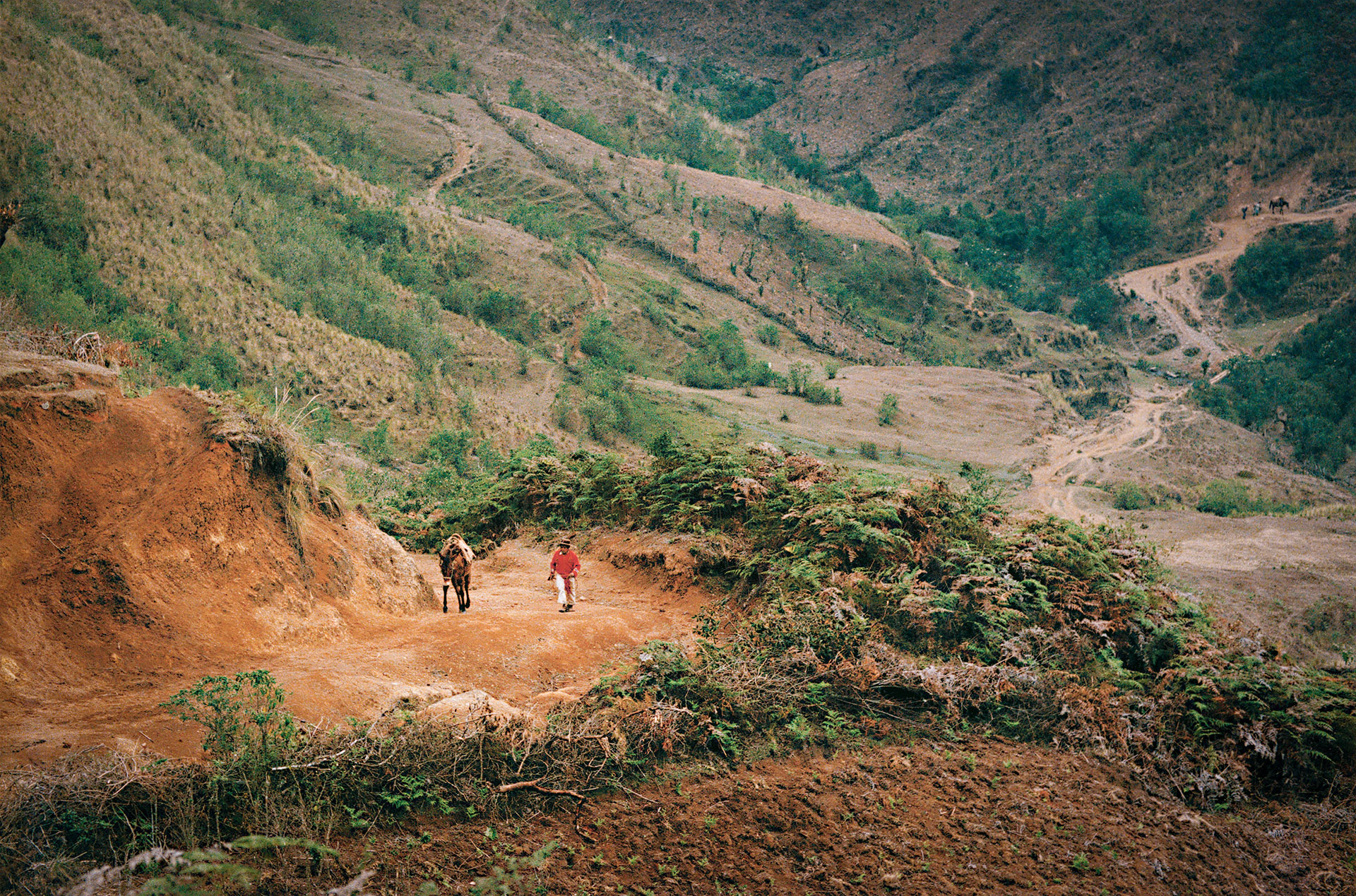 fotó: KINCSESKAMERA – Szabó Zoltán