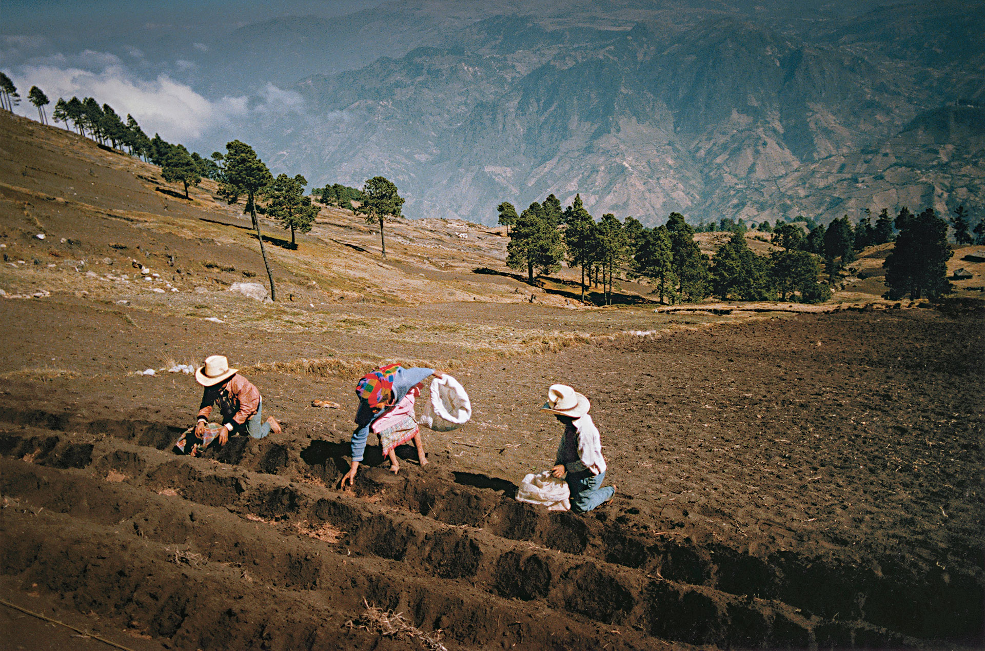 fotó: KINCSESKAMERA – Szabó Zoltán