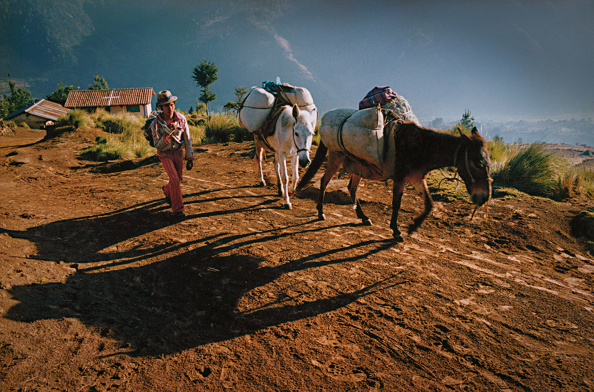 fotó: KINCSESKAMERA – Szabó Zoltán