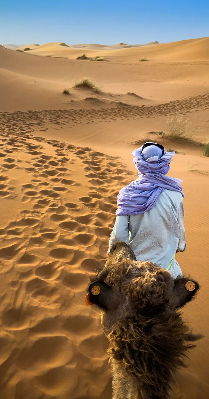 Tevéjét vezető beduin az Erg Chebbi sivatagban Marokkóban