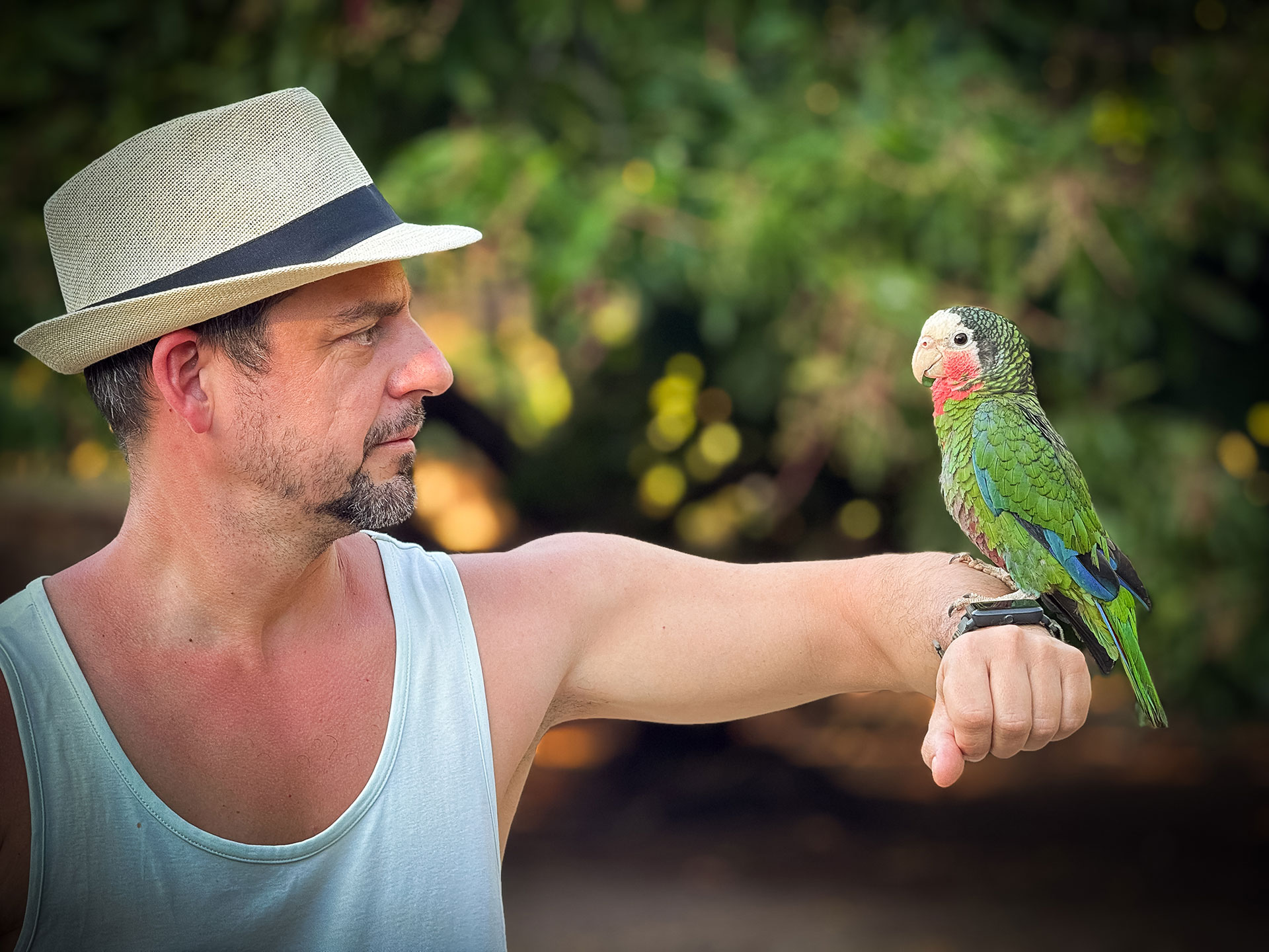 fotó: KINCSESKAMERA – Szabó Zoltán