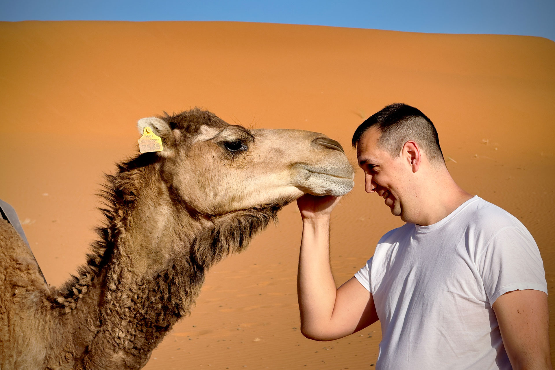 fotó: KINCSESKAMERA – Szabó Zoltán