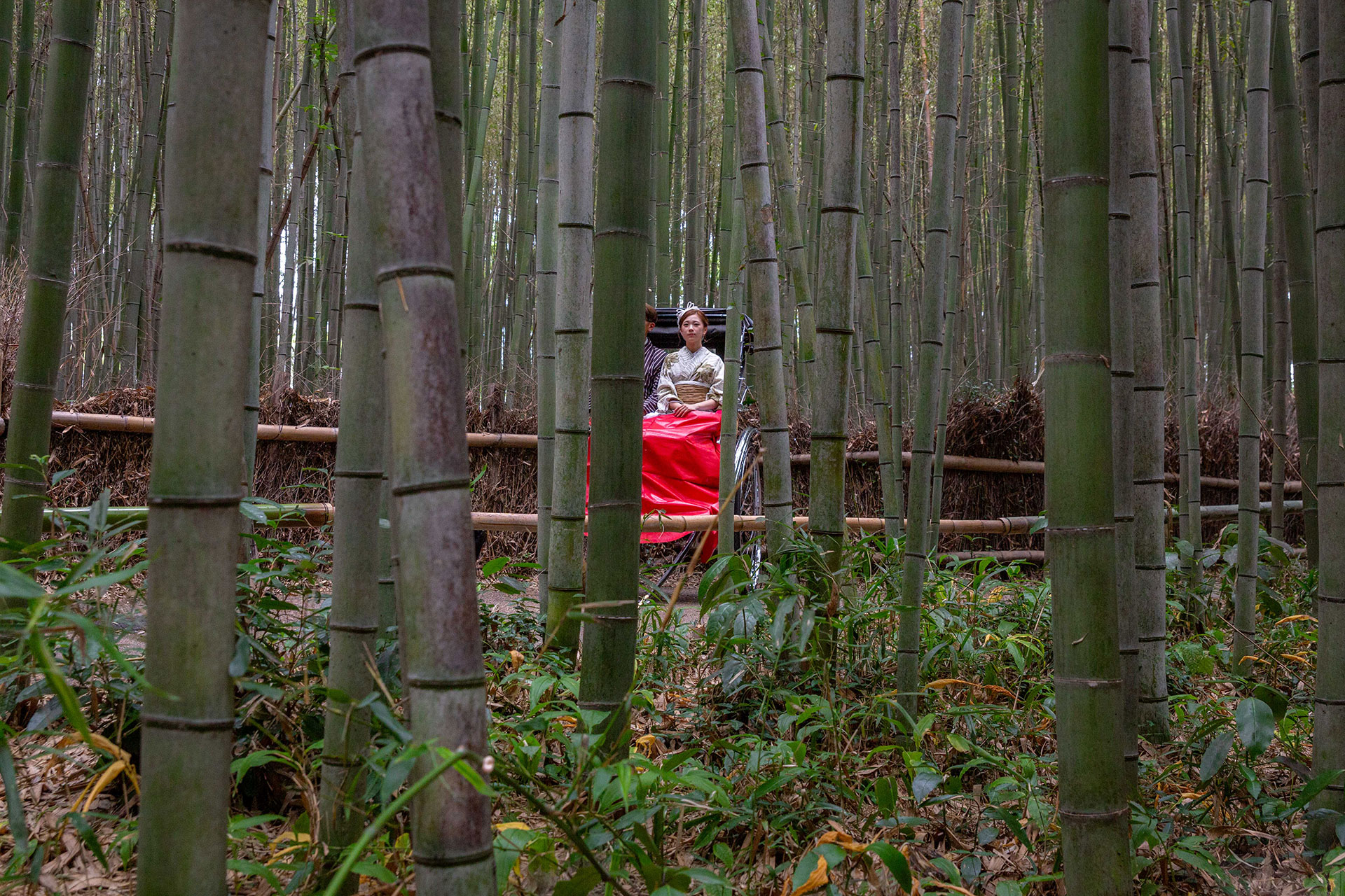 fotó: KINCSESKAMERA – Kocsány Kornél