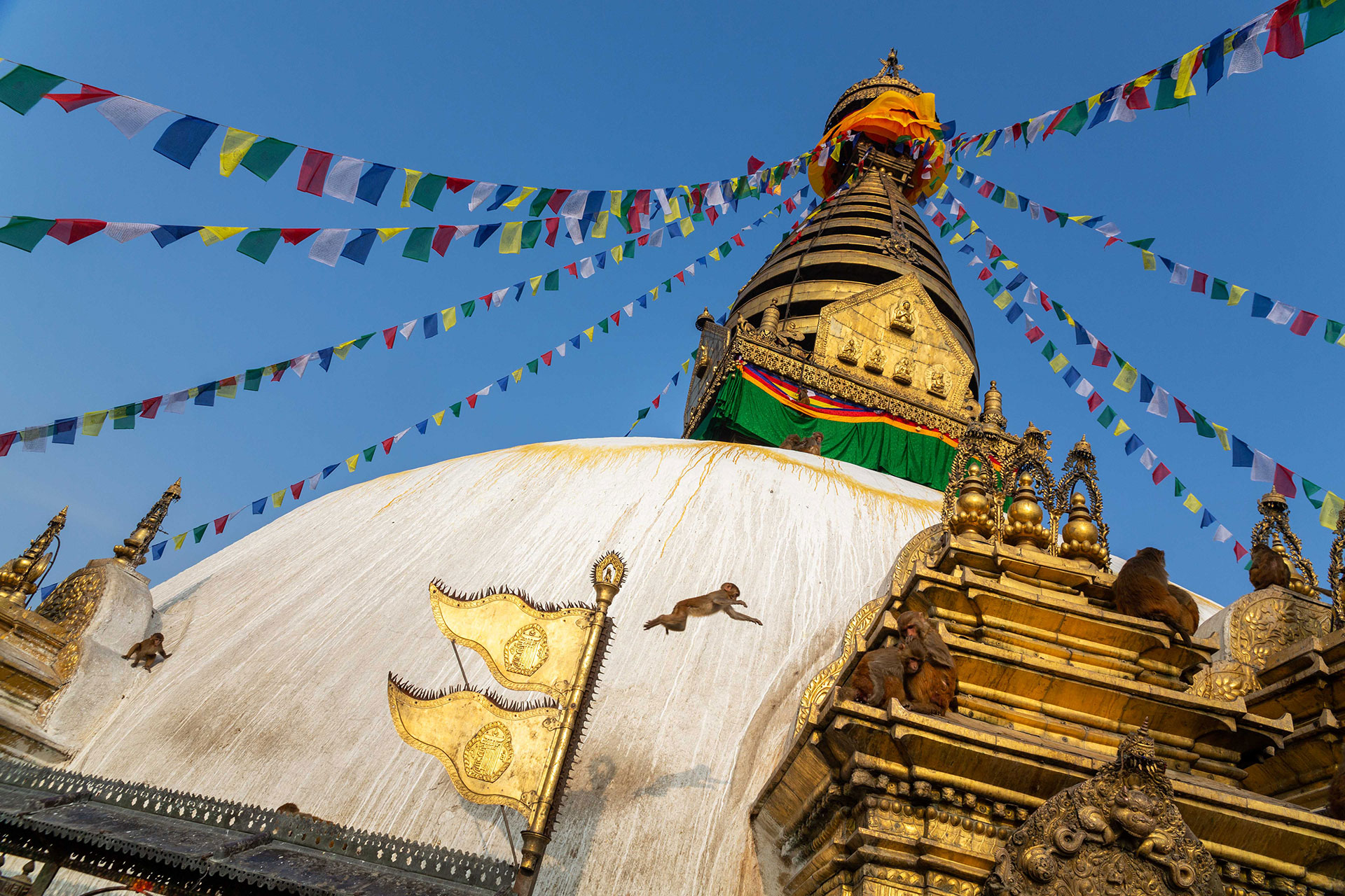 fotó: KINCSESKAMERA – Kocsány Kornél