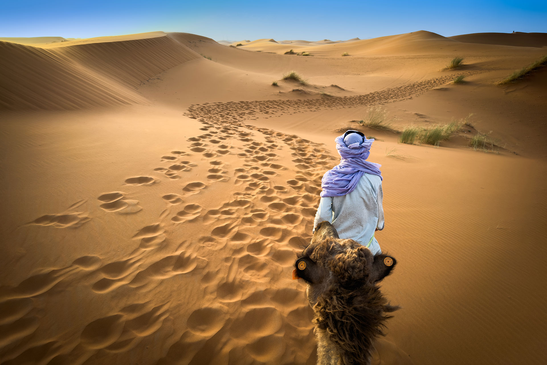 fotó: KINCSESKAMERA – Szabó Zoltán