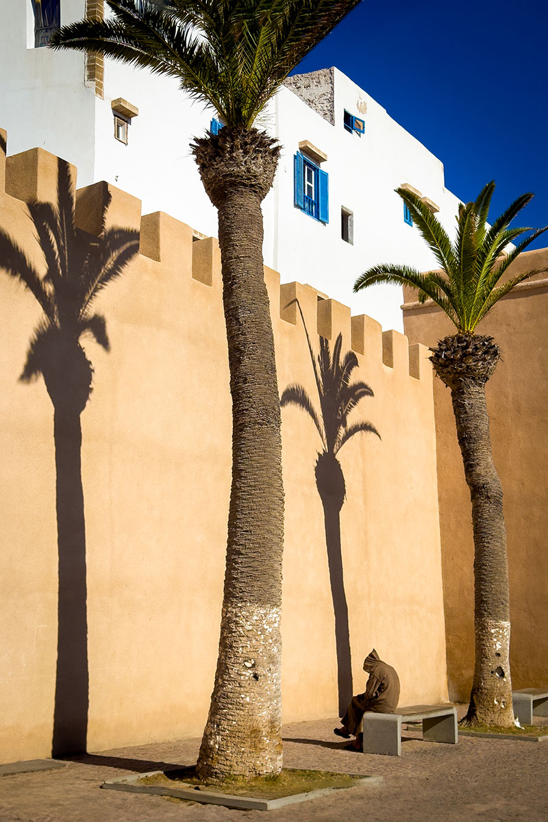 Pálmafák árnyéka Essaouira városfalán Marokkóban