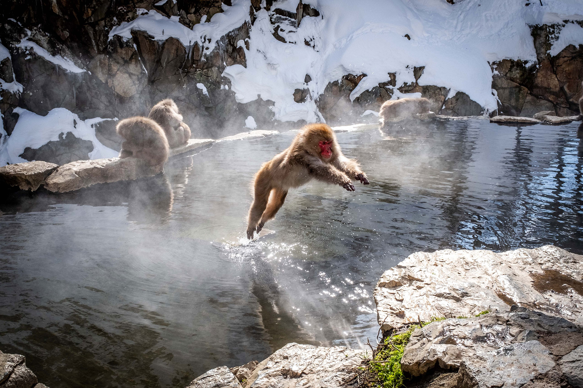 fotó: KINCSESKAMERA – Kocsány Kornél
