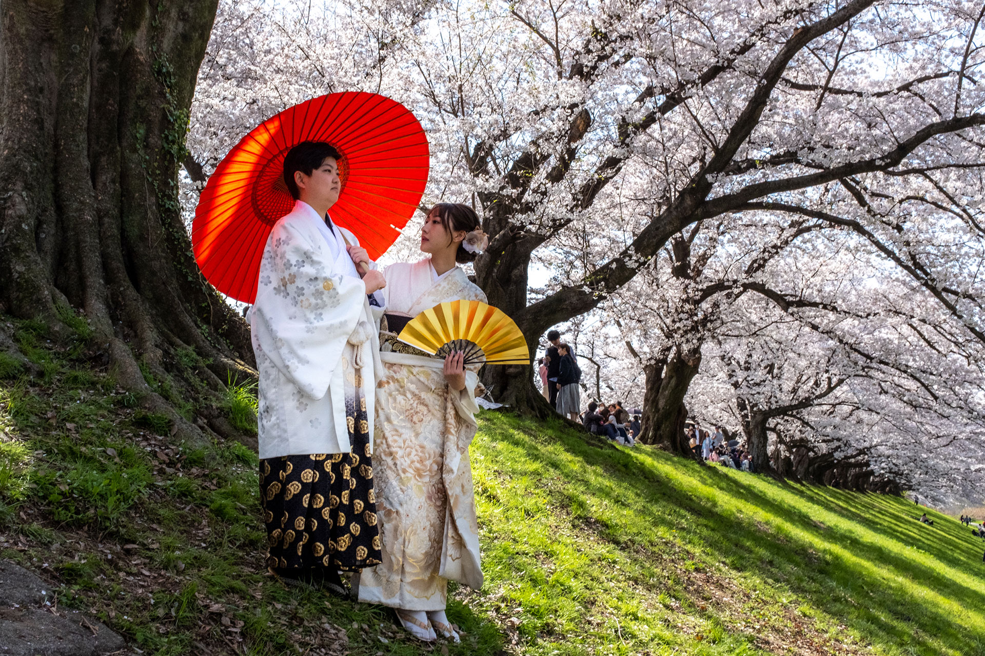 fotó: KINCSESKAMERA – Kocsány Kornél