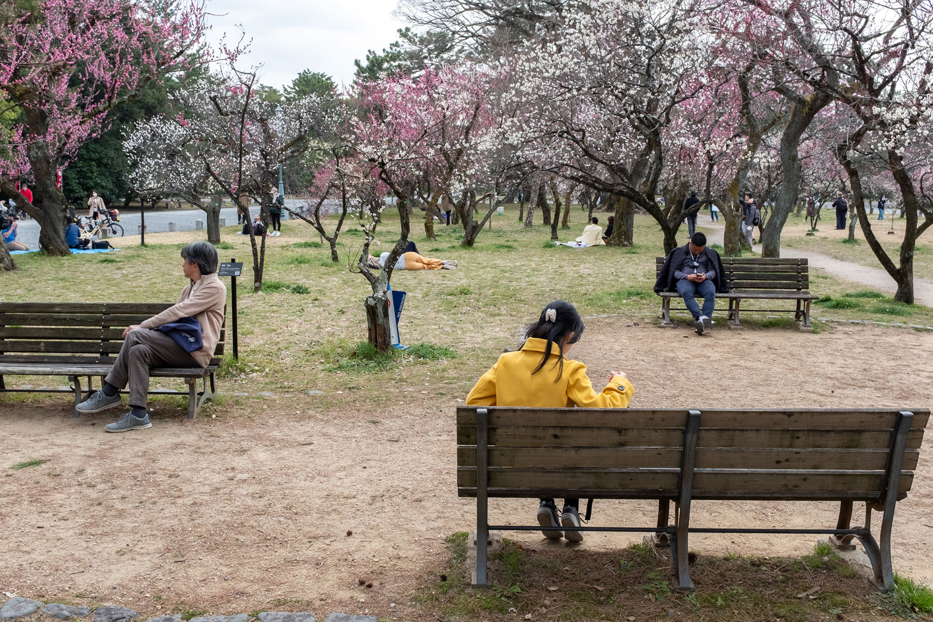 fotó: KINCSESKAMERA – Kocsány Kornél