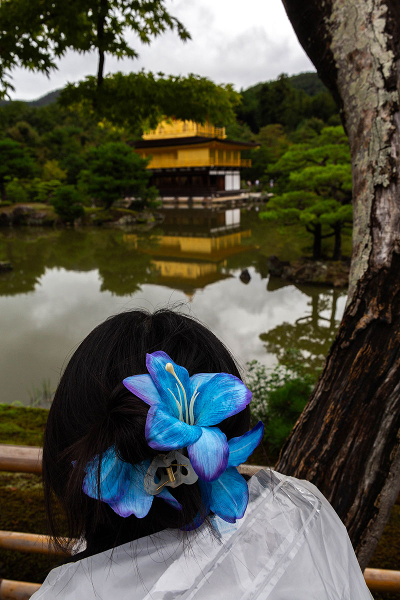 fotó: KINCSESKAMERA – Kocsány Kornél