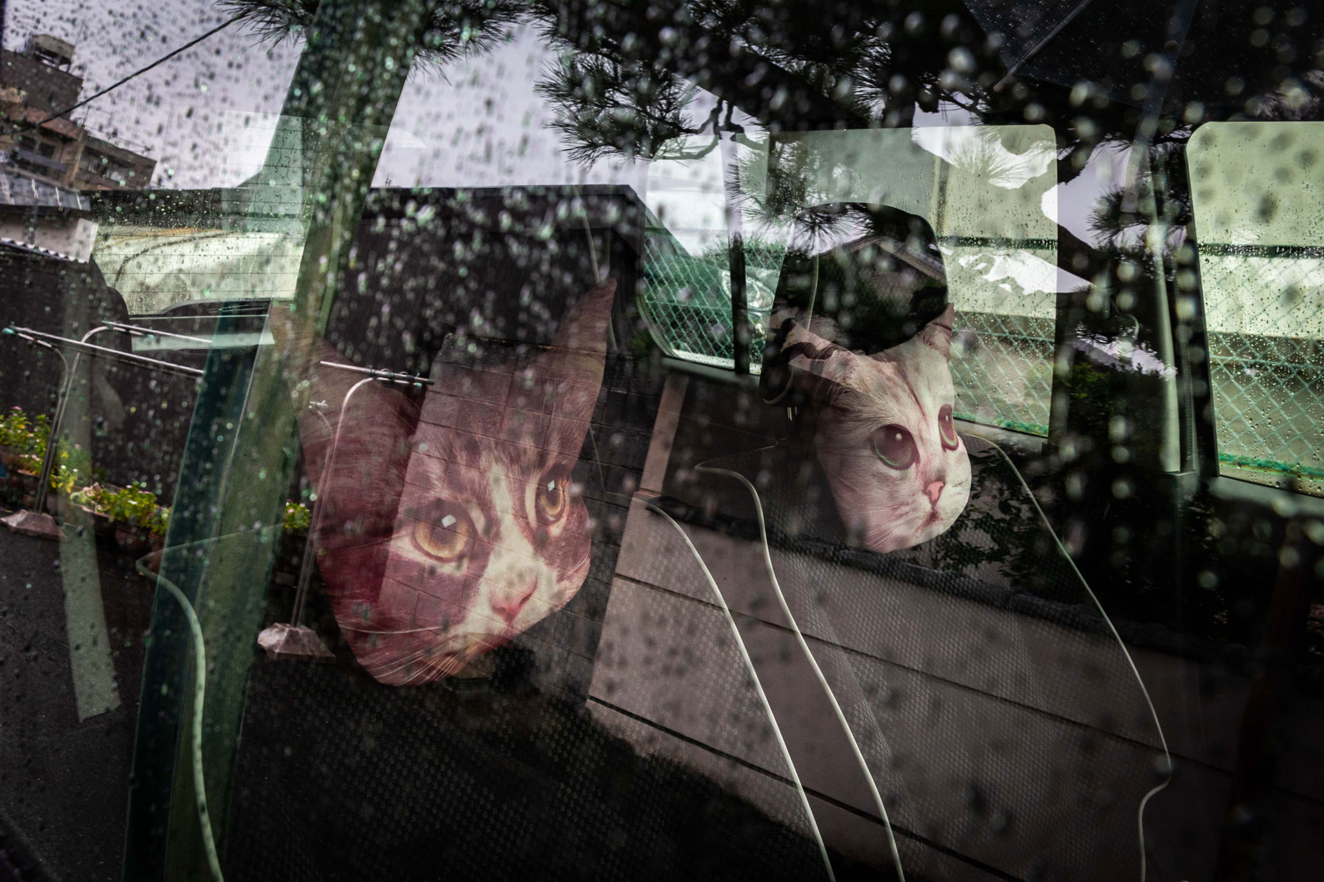 fotó: KINCSESKAMERA – Kocsány Kornél