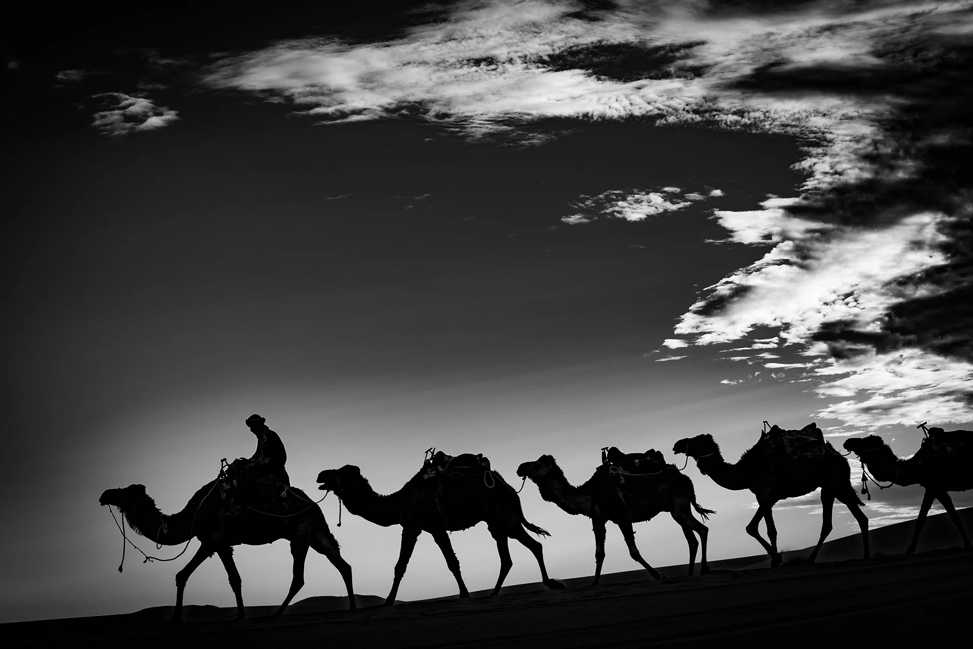Erg Chebbi sivatag