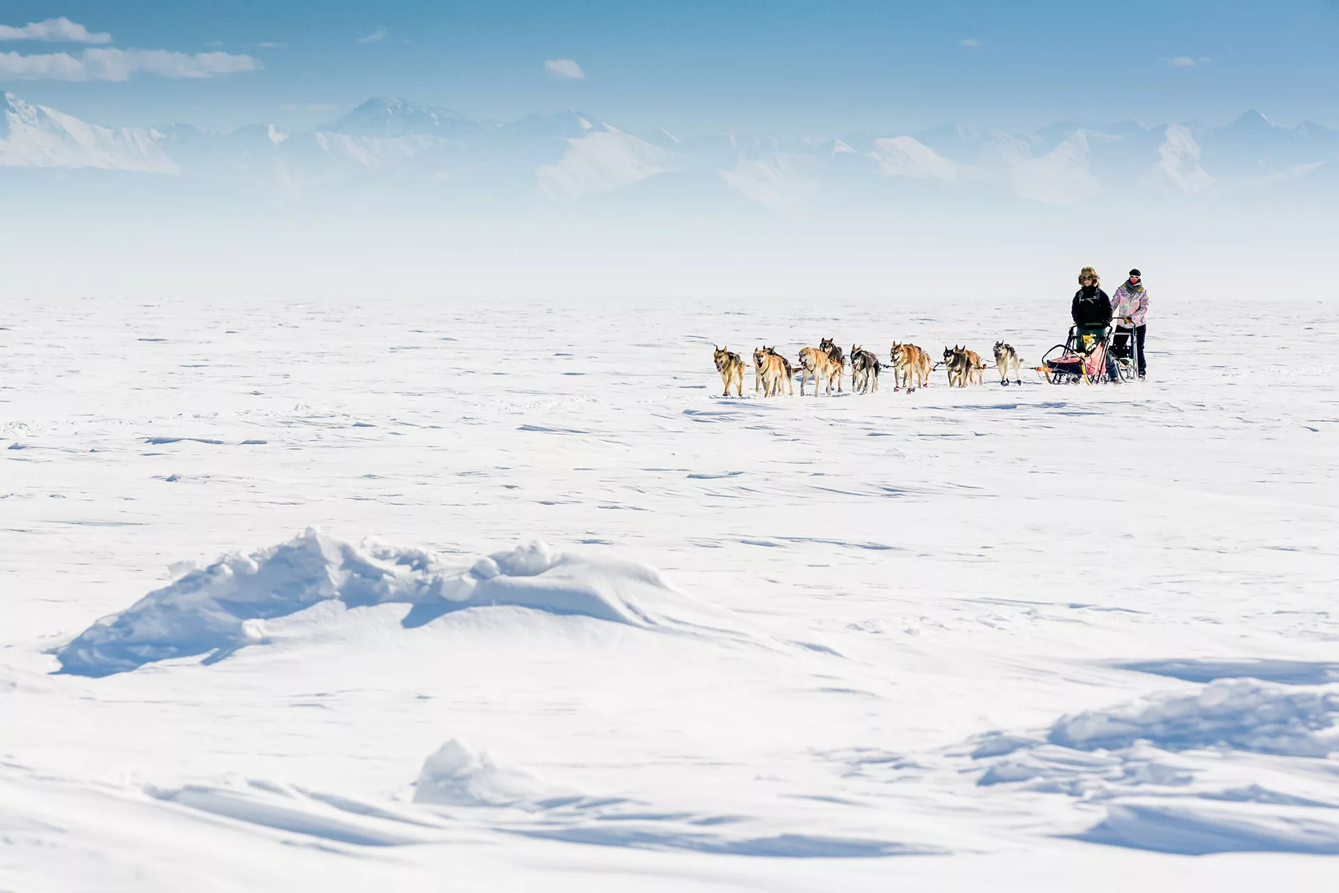fotó: KINCSESKAMERA – Szabó Zoltán